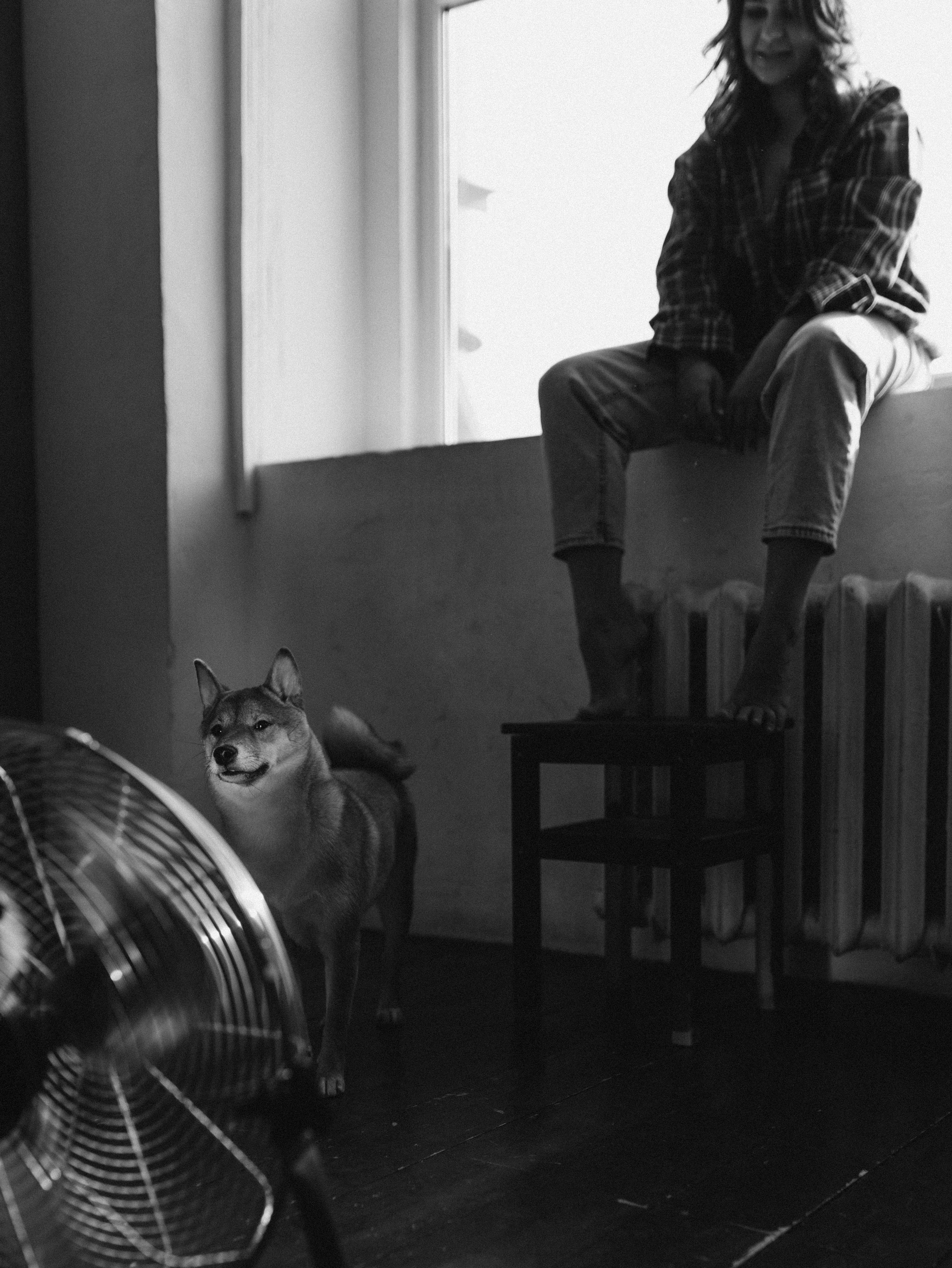 Мика и Настя. Фотограф-анималист в Москве Кириллова Татьяна