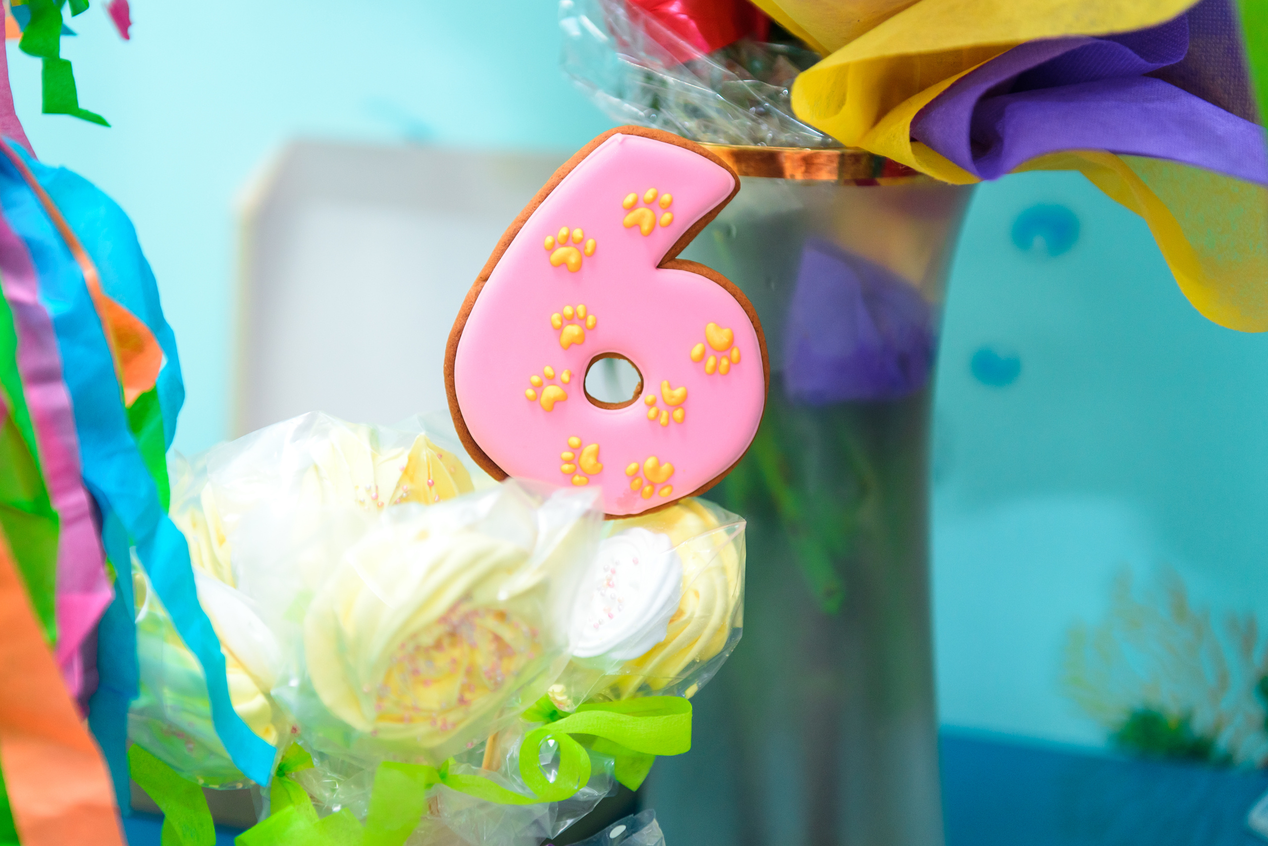 День рождения Василисы. Свадебный и семейный фотограф в Москве Юлия Винник