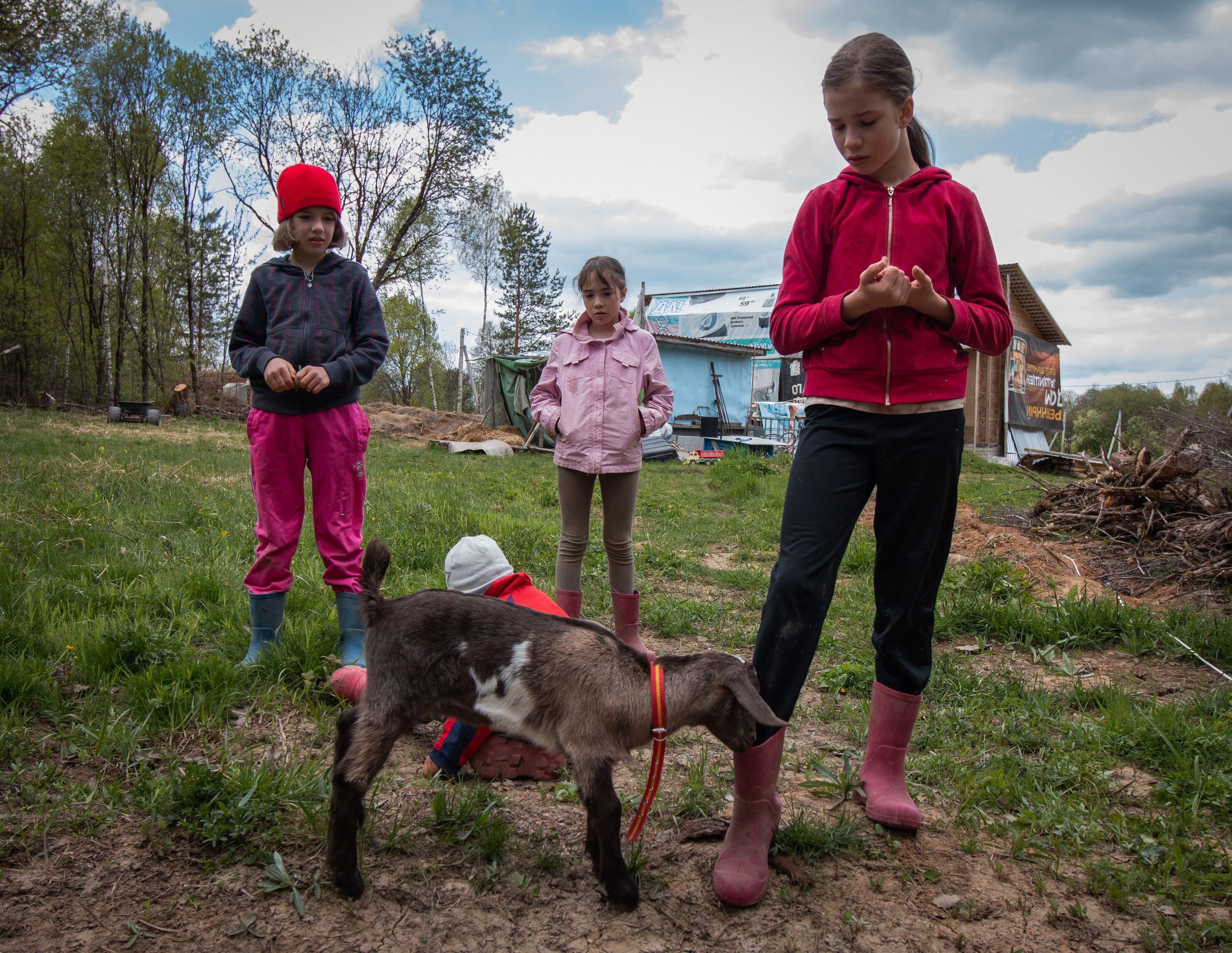 ЖАНР. Фотограф Николай Костюк