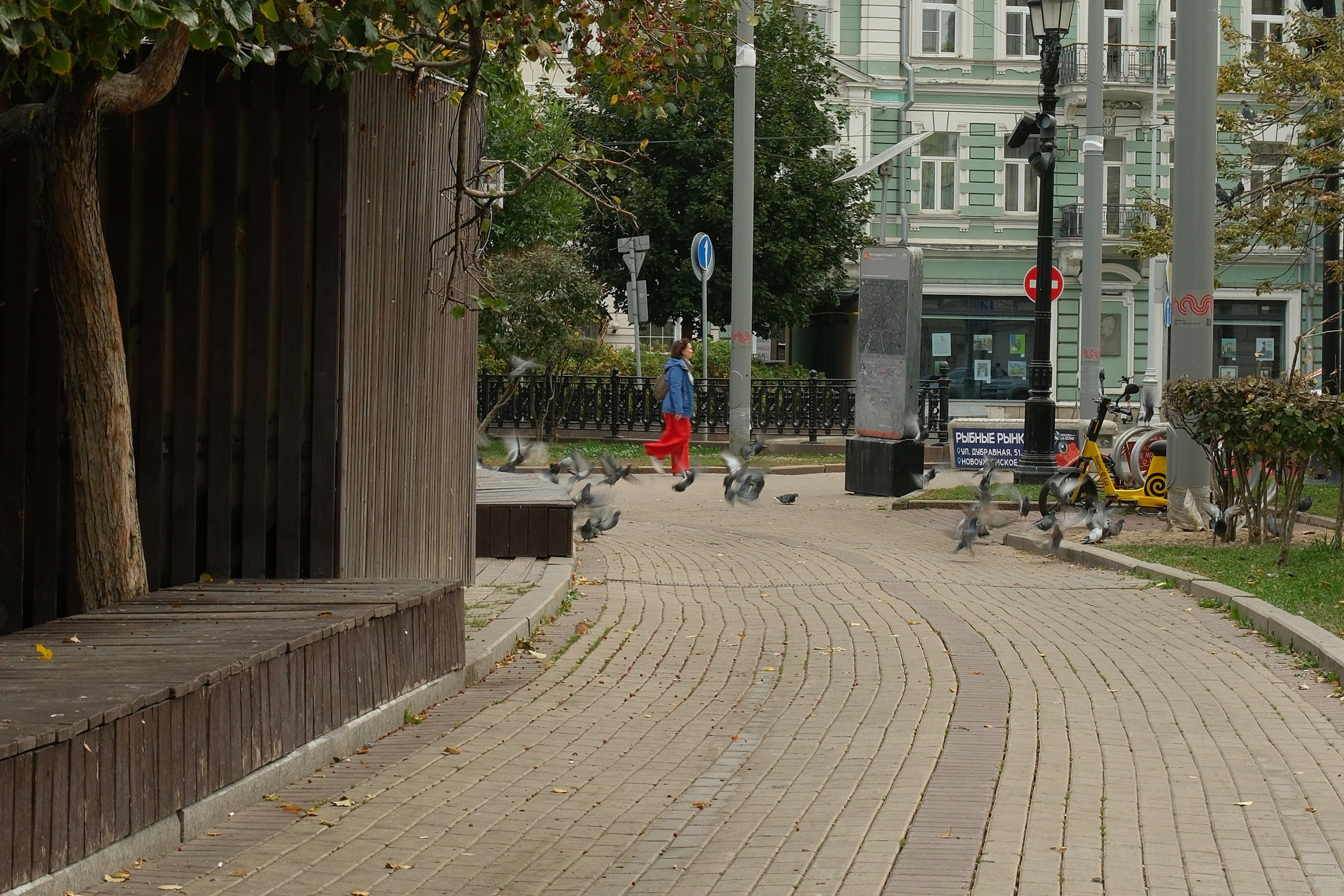 Сентябрь 2025. Улица, люди, жизнь…