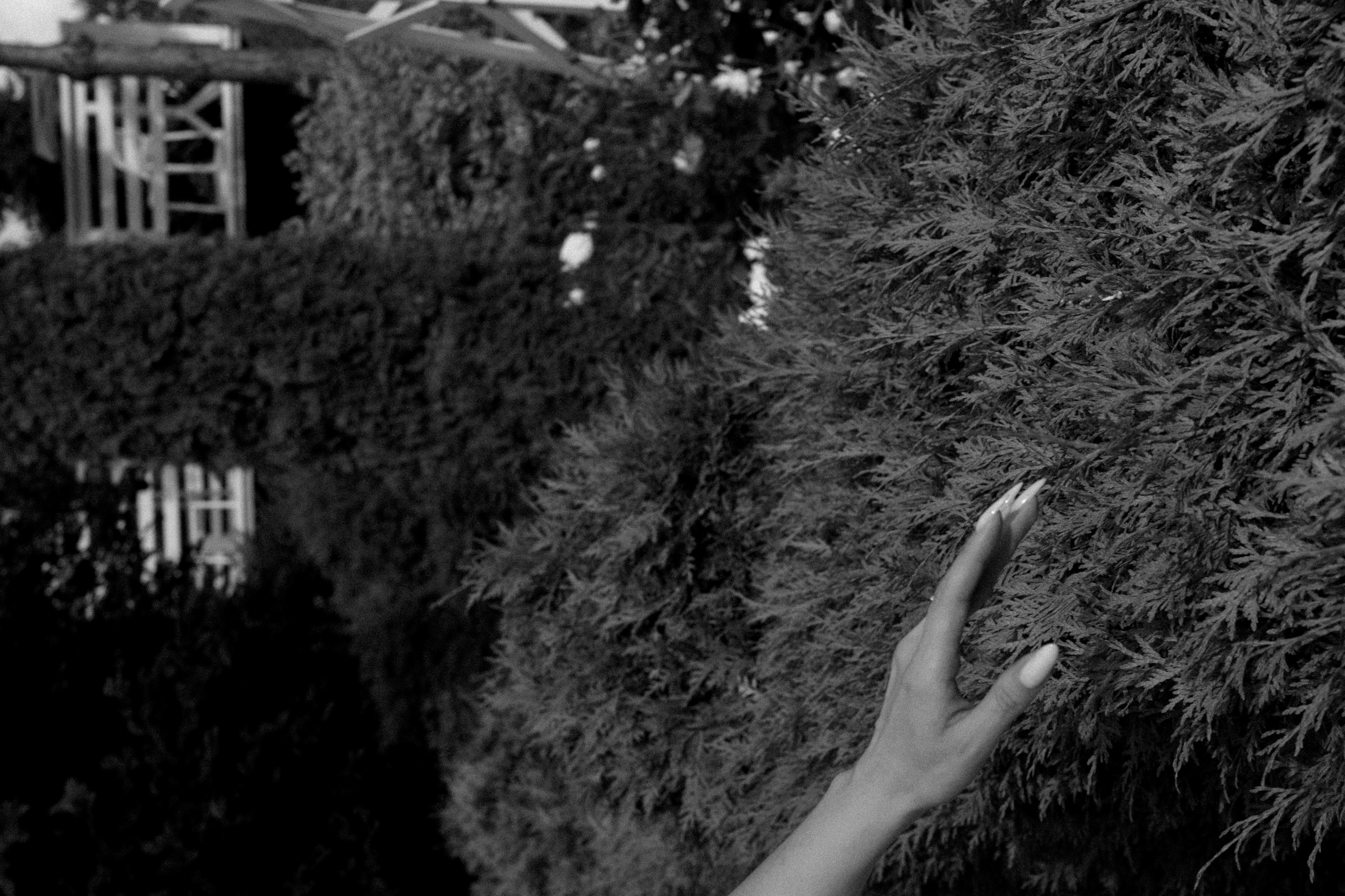 Эльдар & Марина