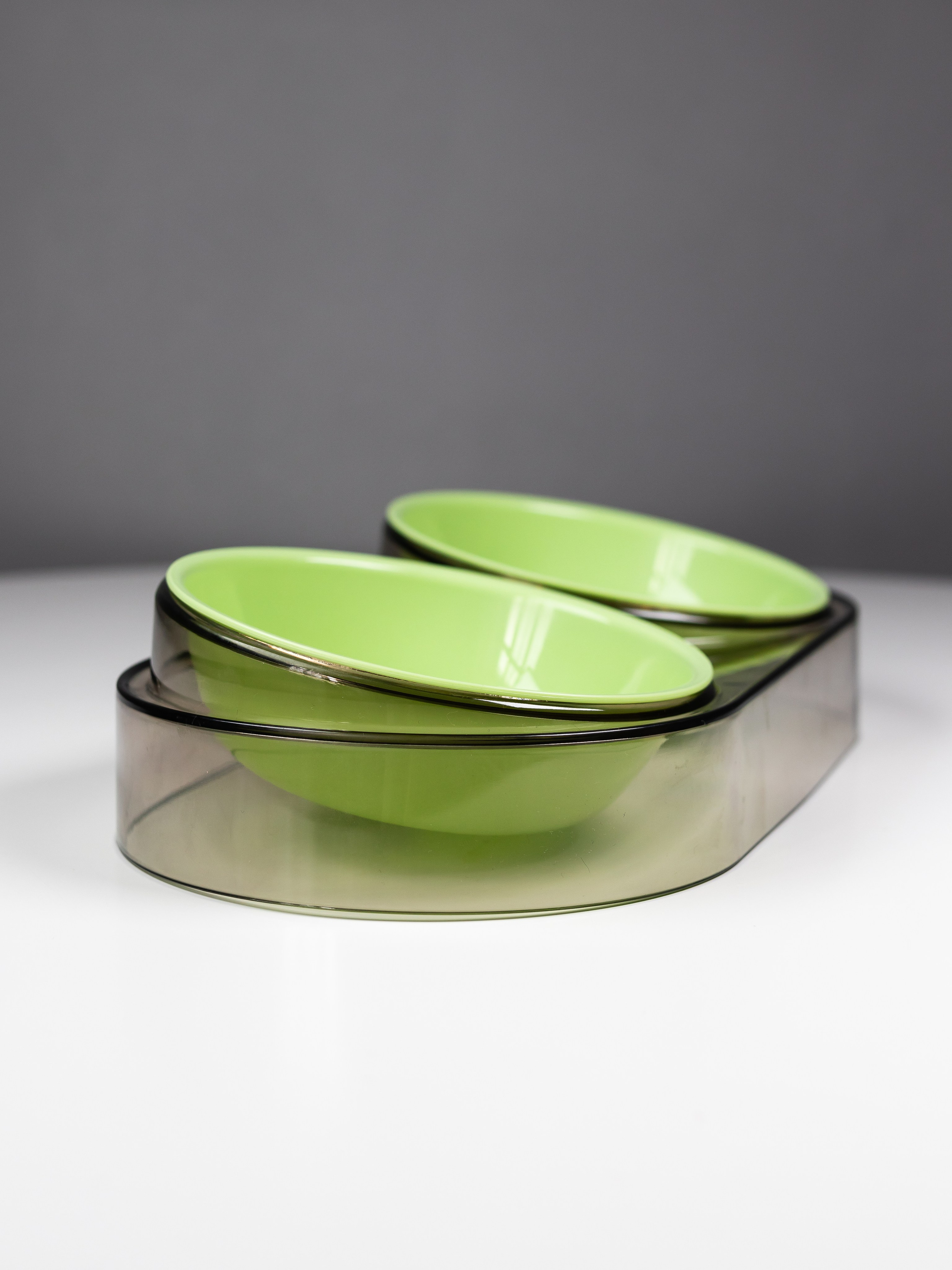 Миска для собаки. Фотограф в Краснодаре Арина Кудряшова