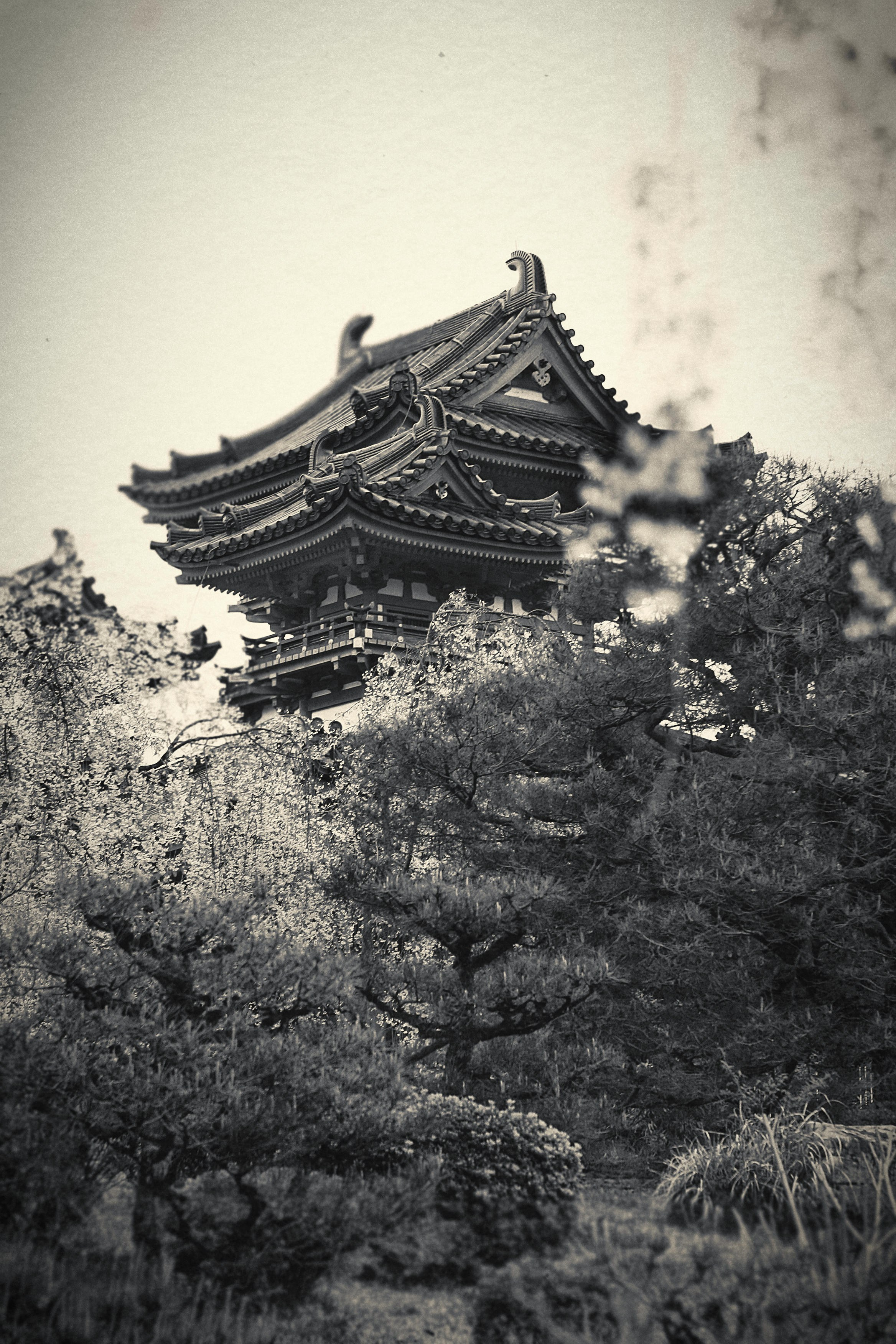 Япония. Фотография, ретушь, сканирование, восстановление старых фото, интерьерная съёмка, студия. Данилов Александр, Москва