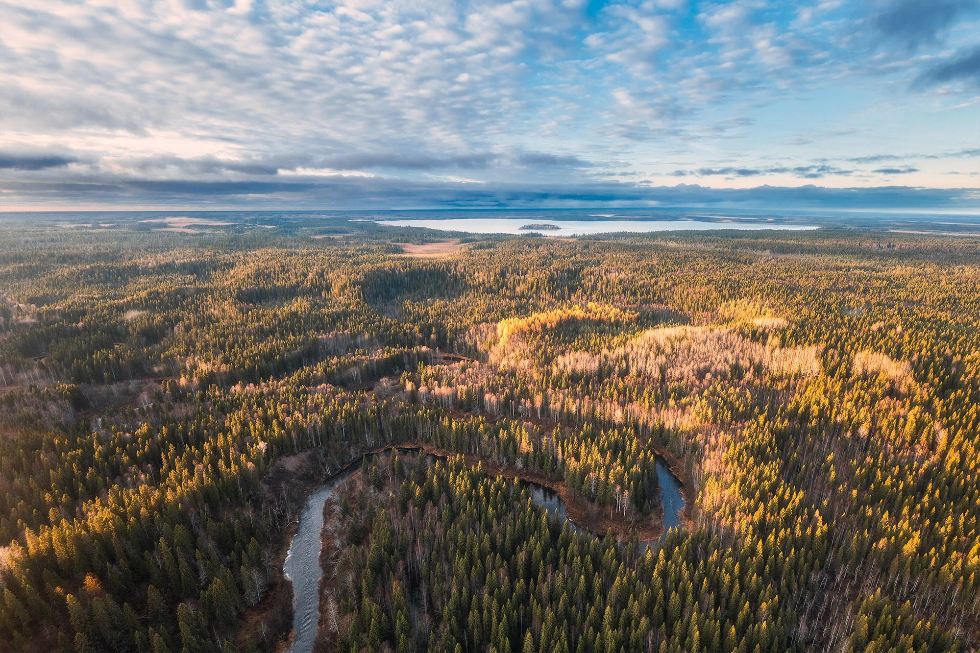 Пейзаж. Аэросъемка в Архангельске, Александр Ермолин