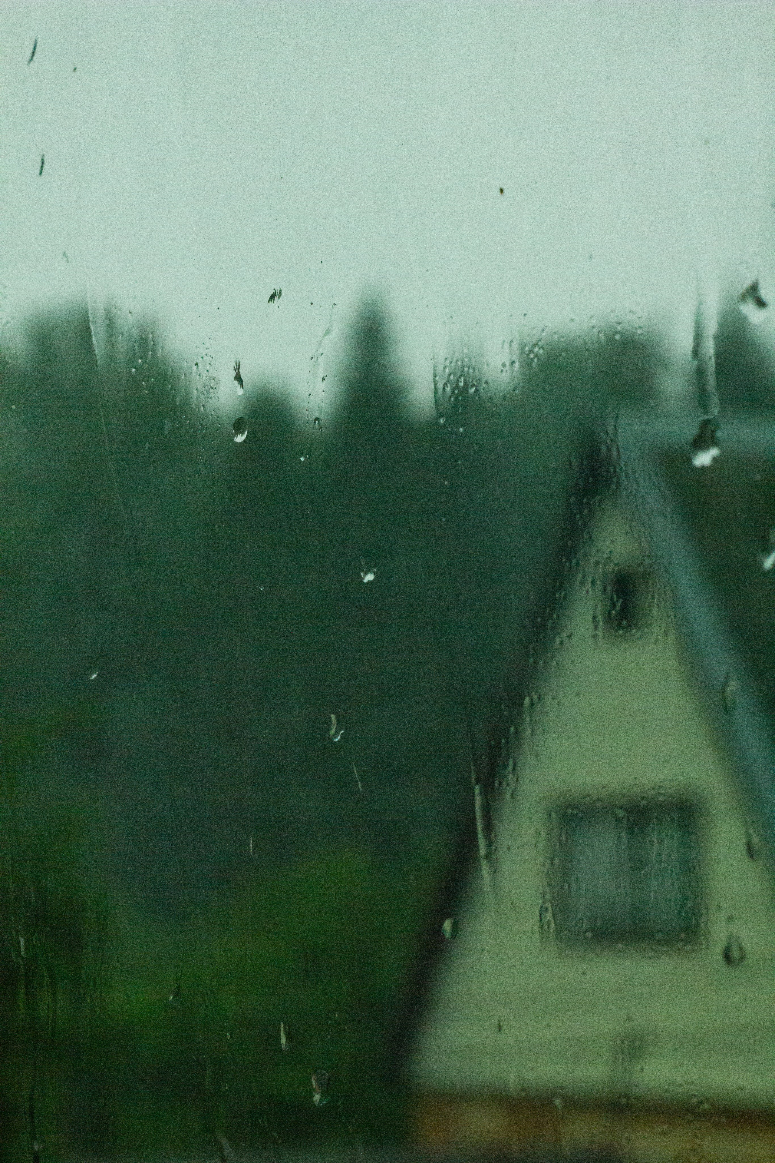 Dacha vibes. Папка кадров 📁