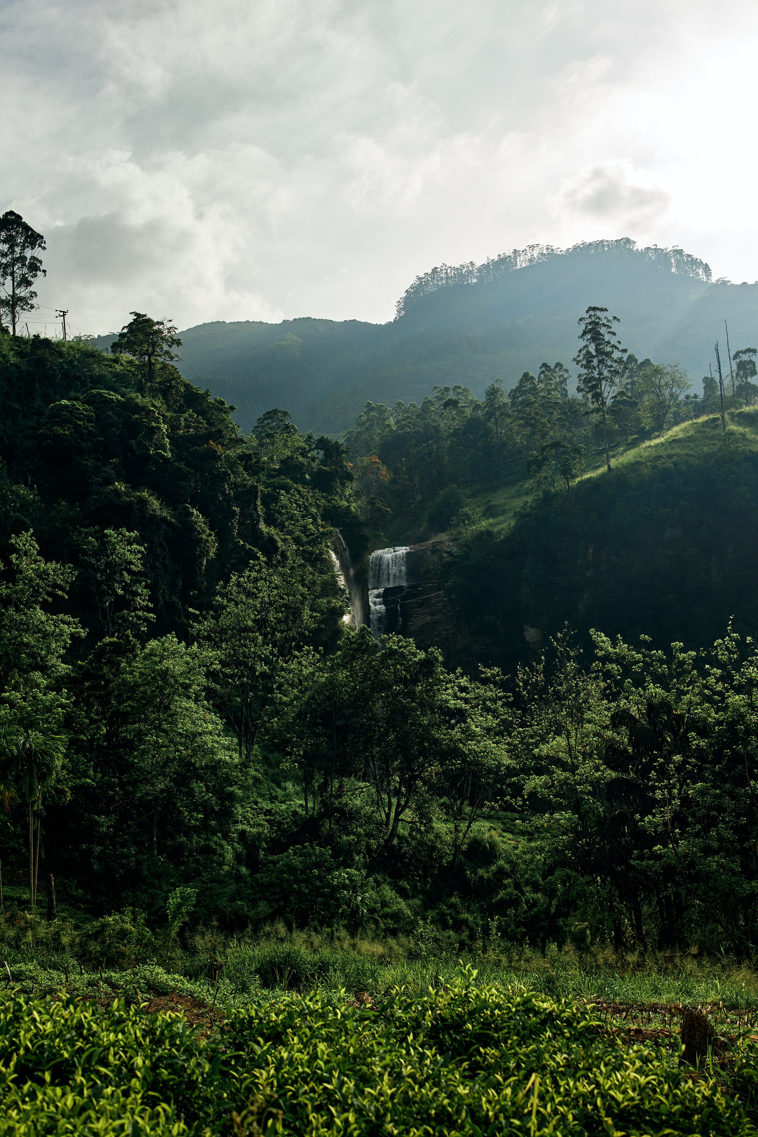 Шри-Ланка. Хороший репортажный и промышленный фотограф в Казани Алексей Щелконогов