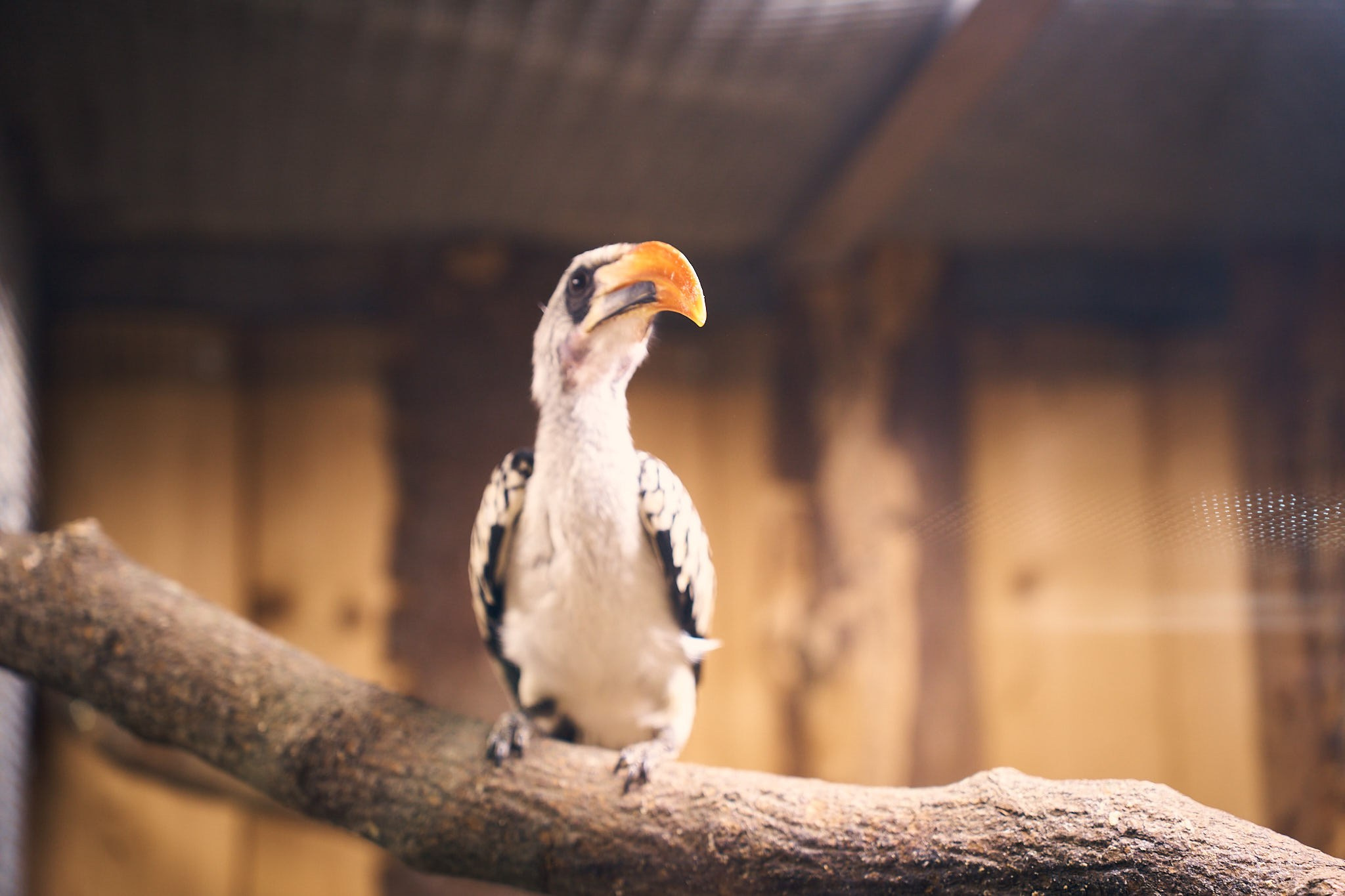 ZOO. ФОТОГРАФ ЕКАТЕРИНБУРГ