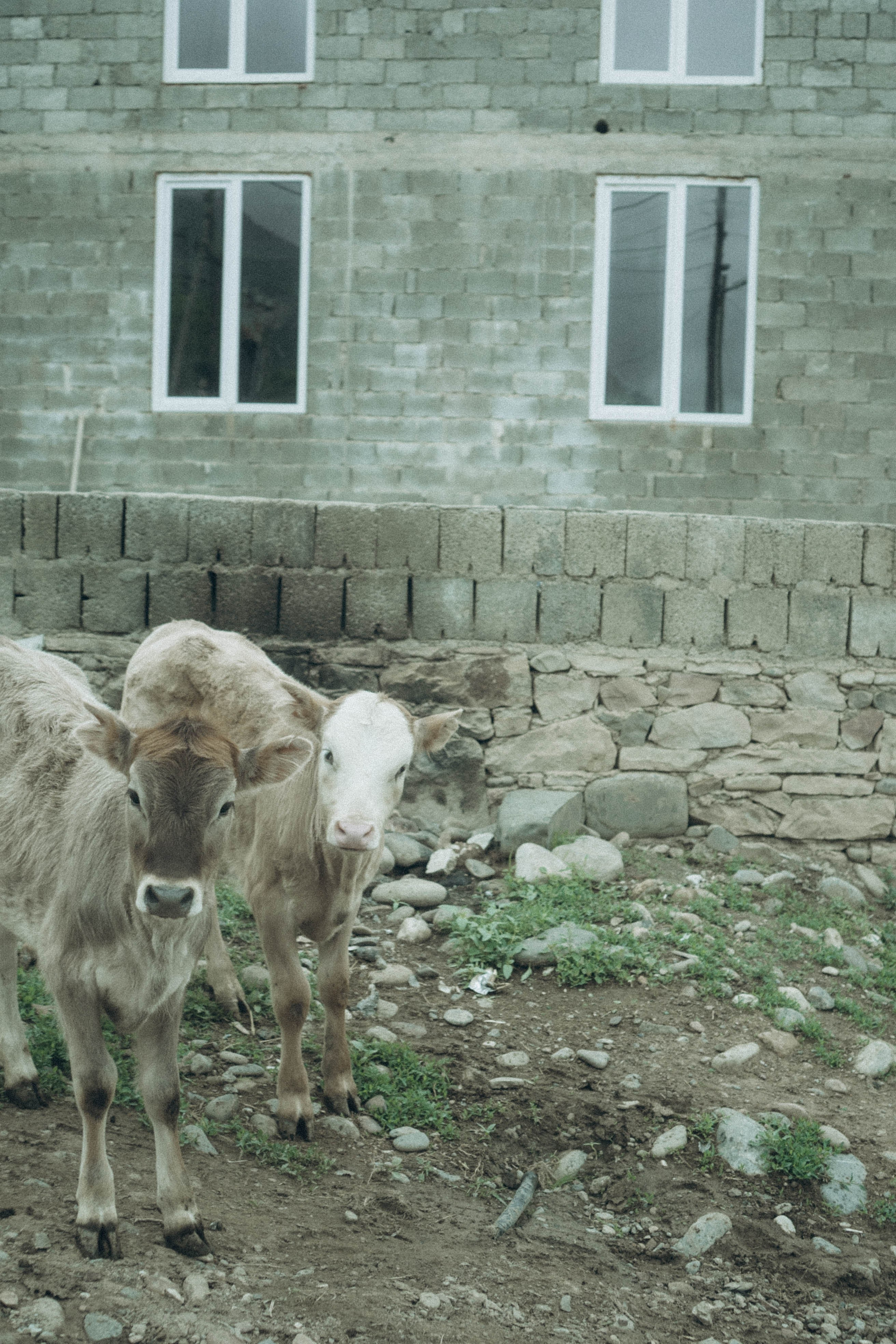 Кавказ. Профессиональный фотограф, Санкт-Петербург — Виктория Богомолова