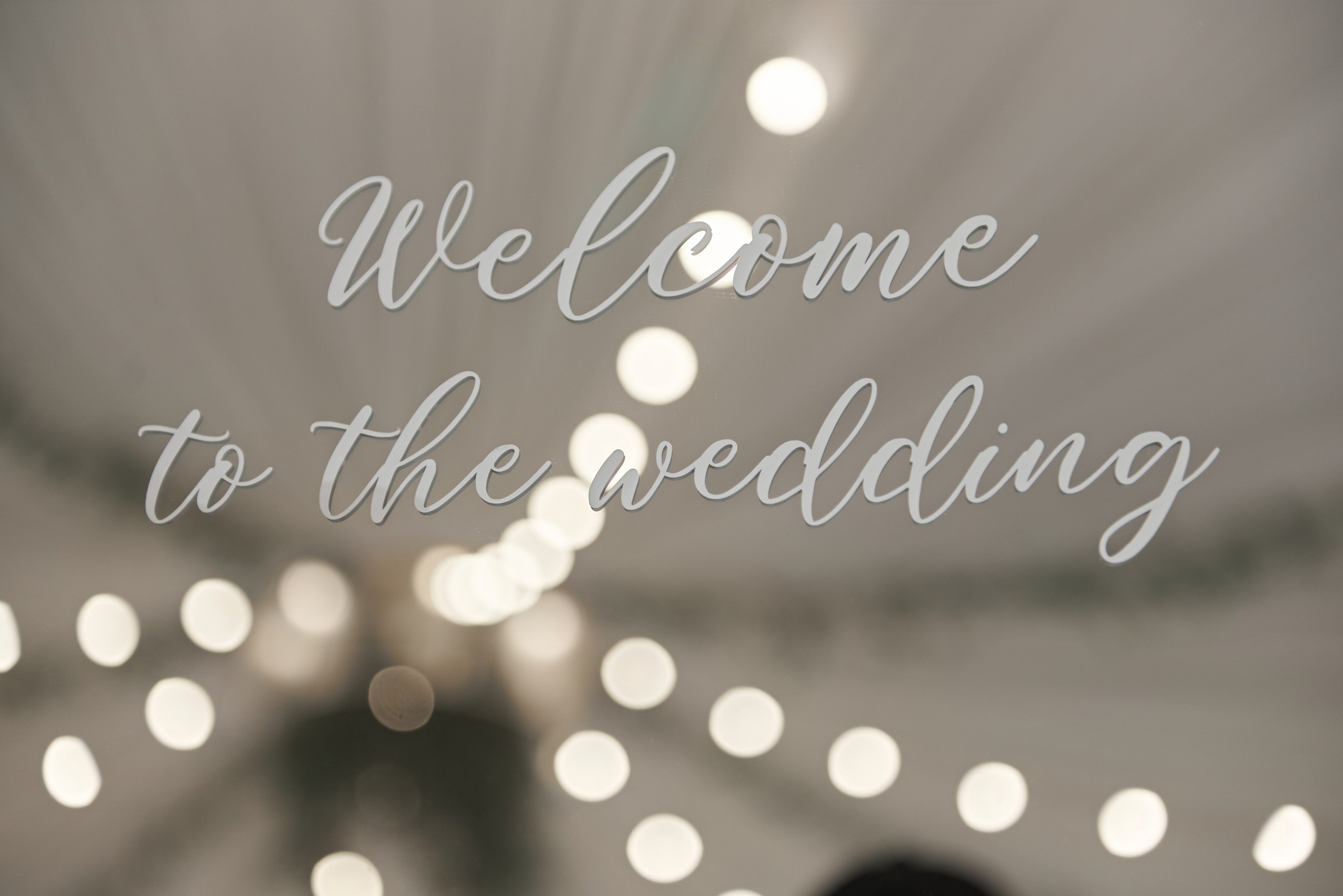 5.09.24 Даня и Маша. Свадебный фотограф Юлия Гусева