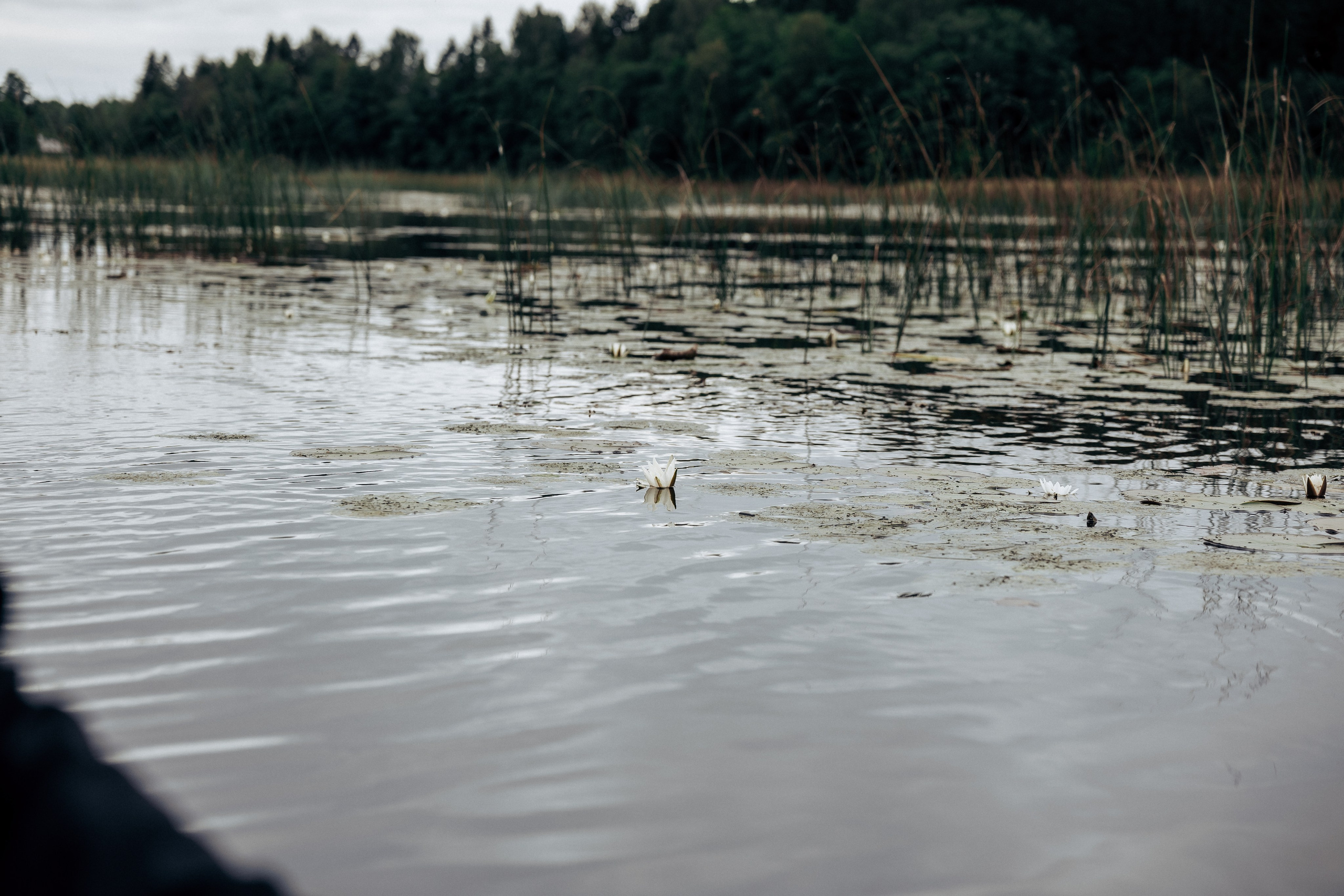 Фотосессия в лесу. Профессиональный фотограф в Санкт-Петербурге Александр Волосенцев