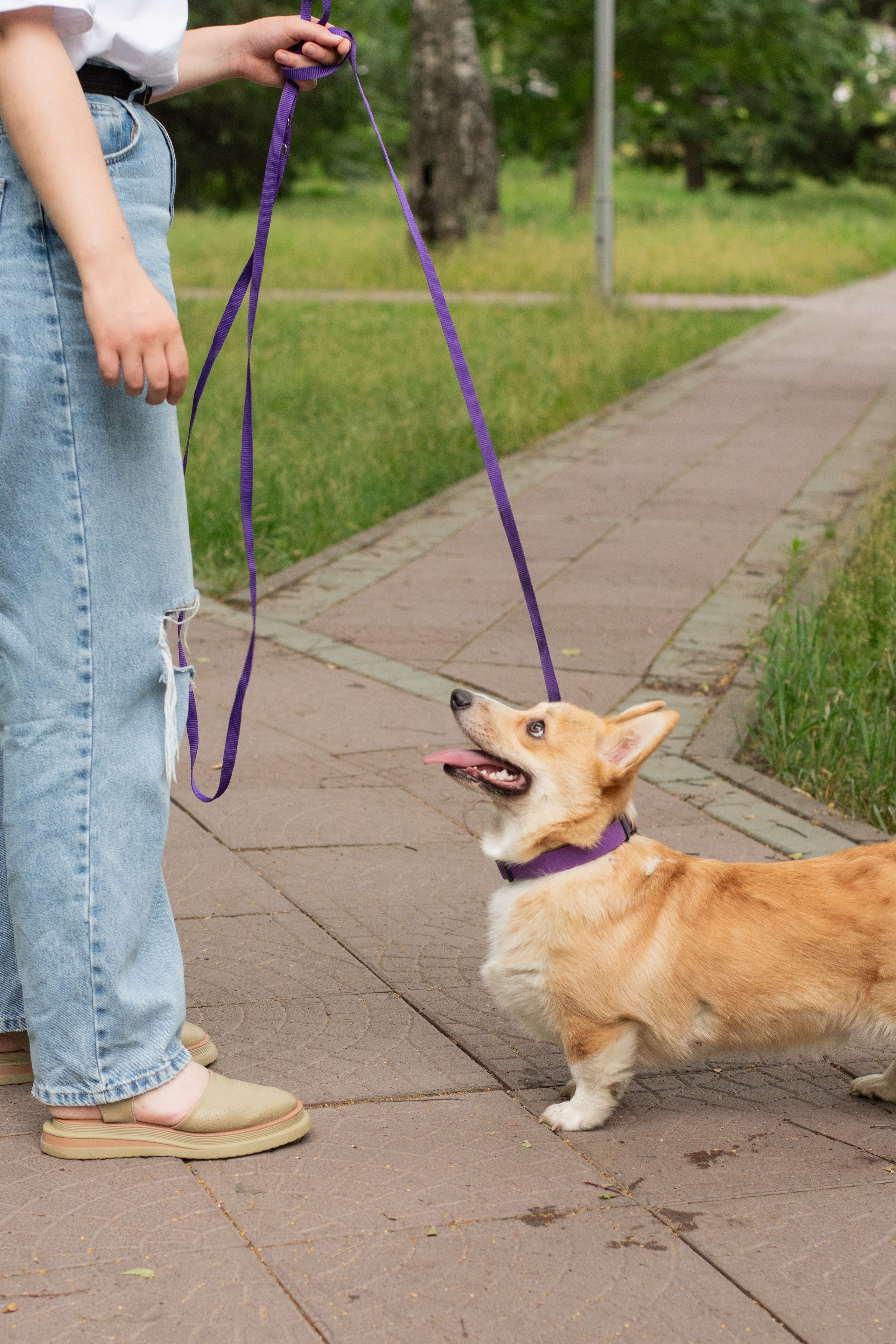 Фотосессия с домашними животными. Фотограф в Новосибирске Фальман Полина