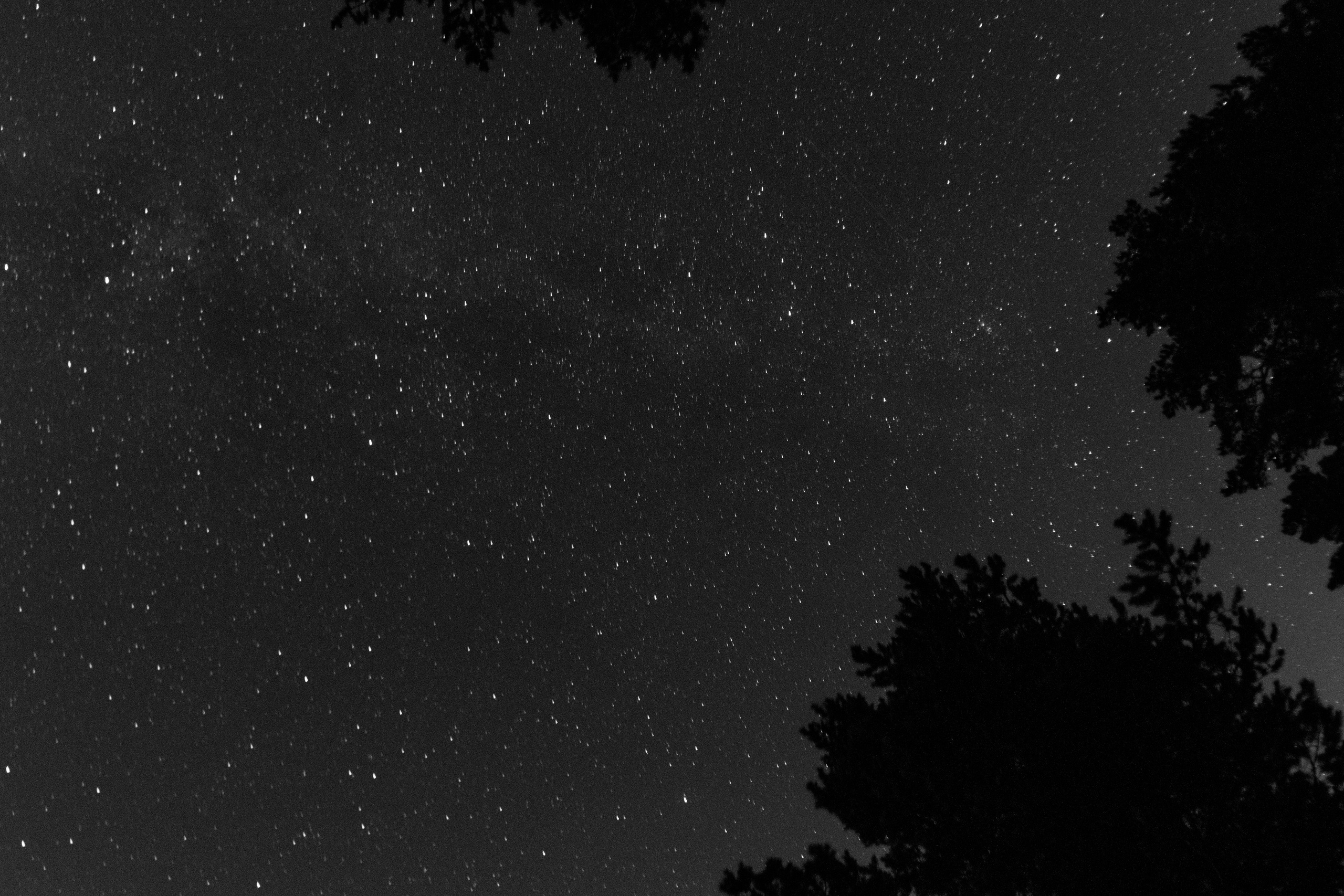 И вокруг меня. Портретный и концертный фотограф в Санкт-Петербурге Егор Телятников