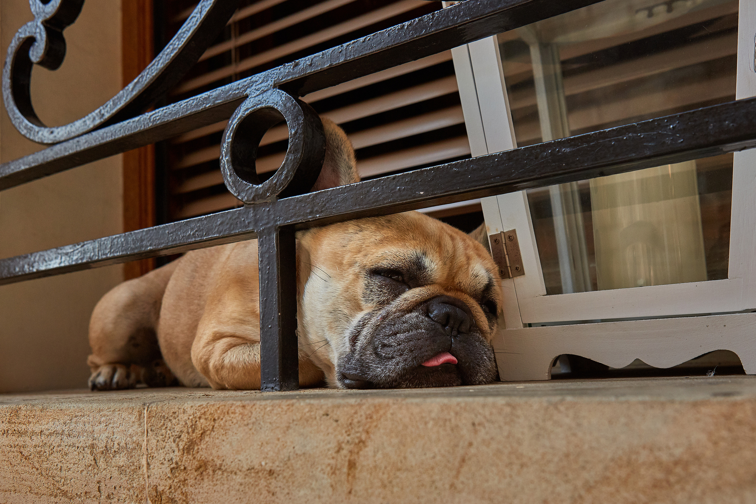 Monte-Carlo > > > Monaco / october 2019. Aleksandr Kobtsev