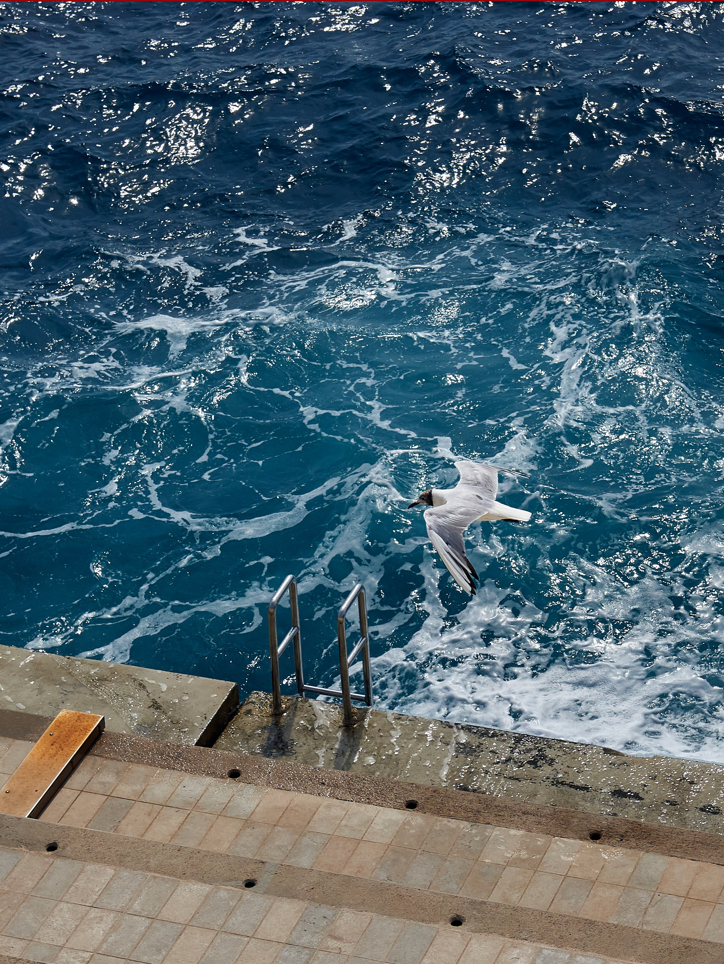 Monte-Carlo > > > Monaco / october 2019. Aleksandr Kobtsev