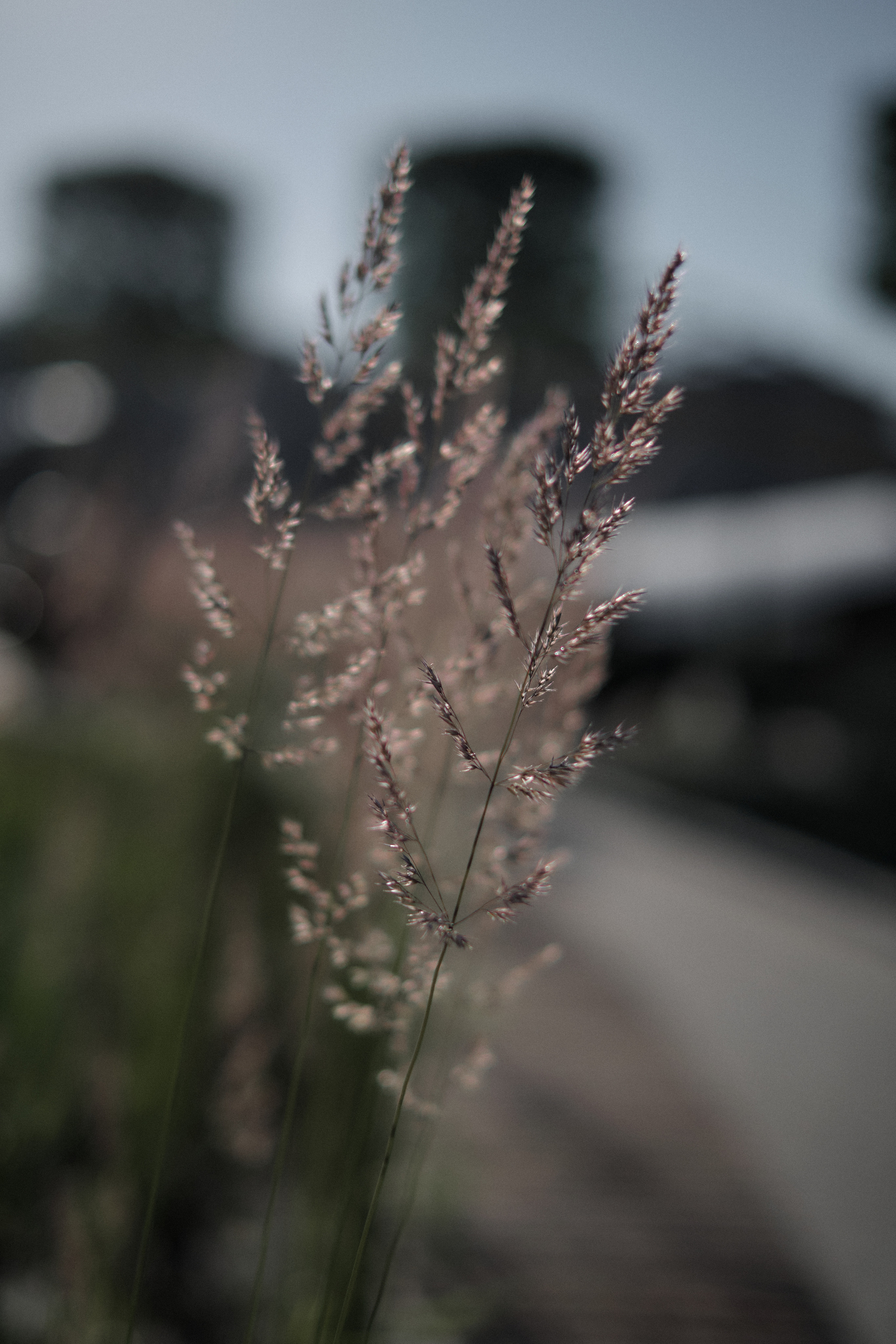 Early morning in the big city. Aleksandr Kobtsev