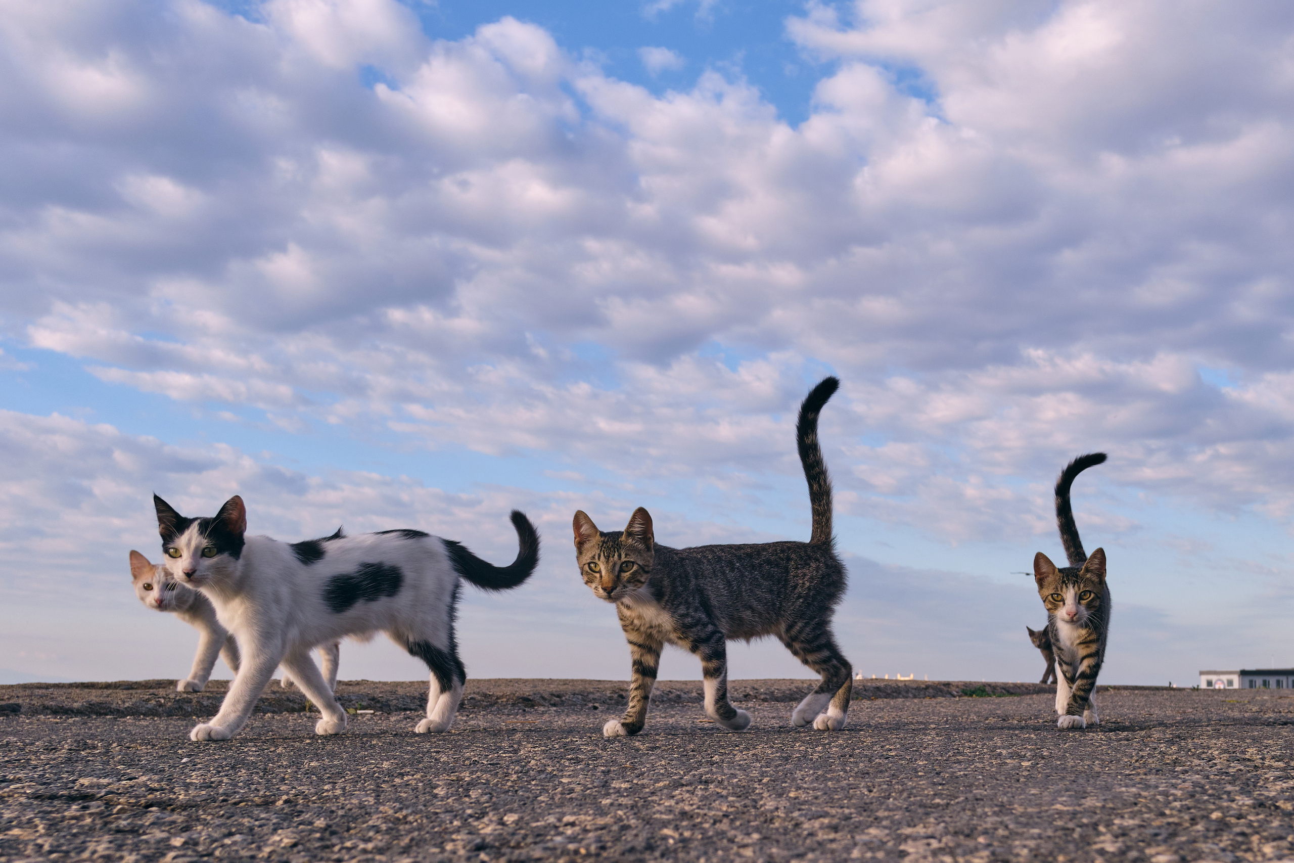 Mediterranean sea. Aleksandr Kobtsev