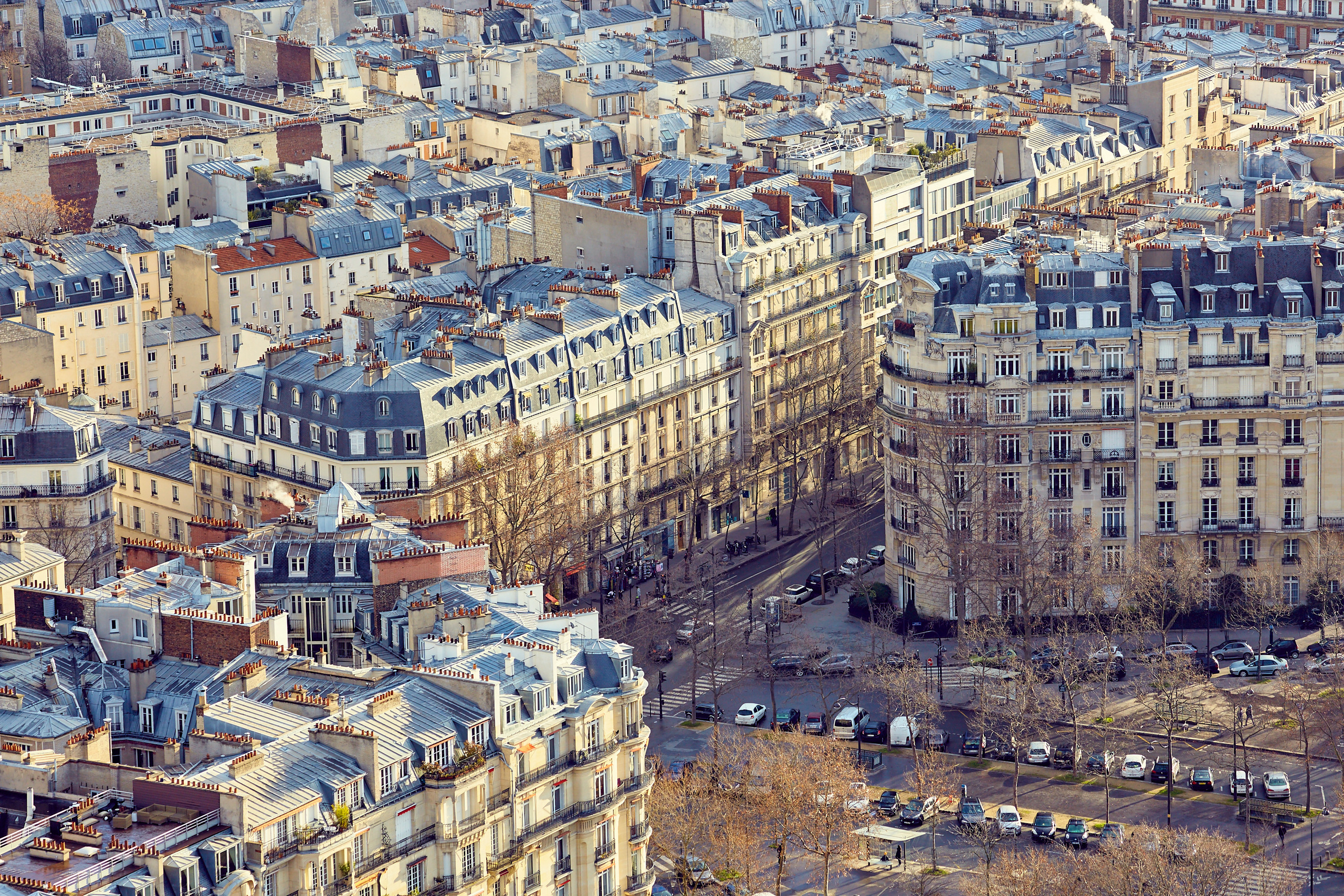 Paris / France / january 2017. Aleksandr Kobtsev