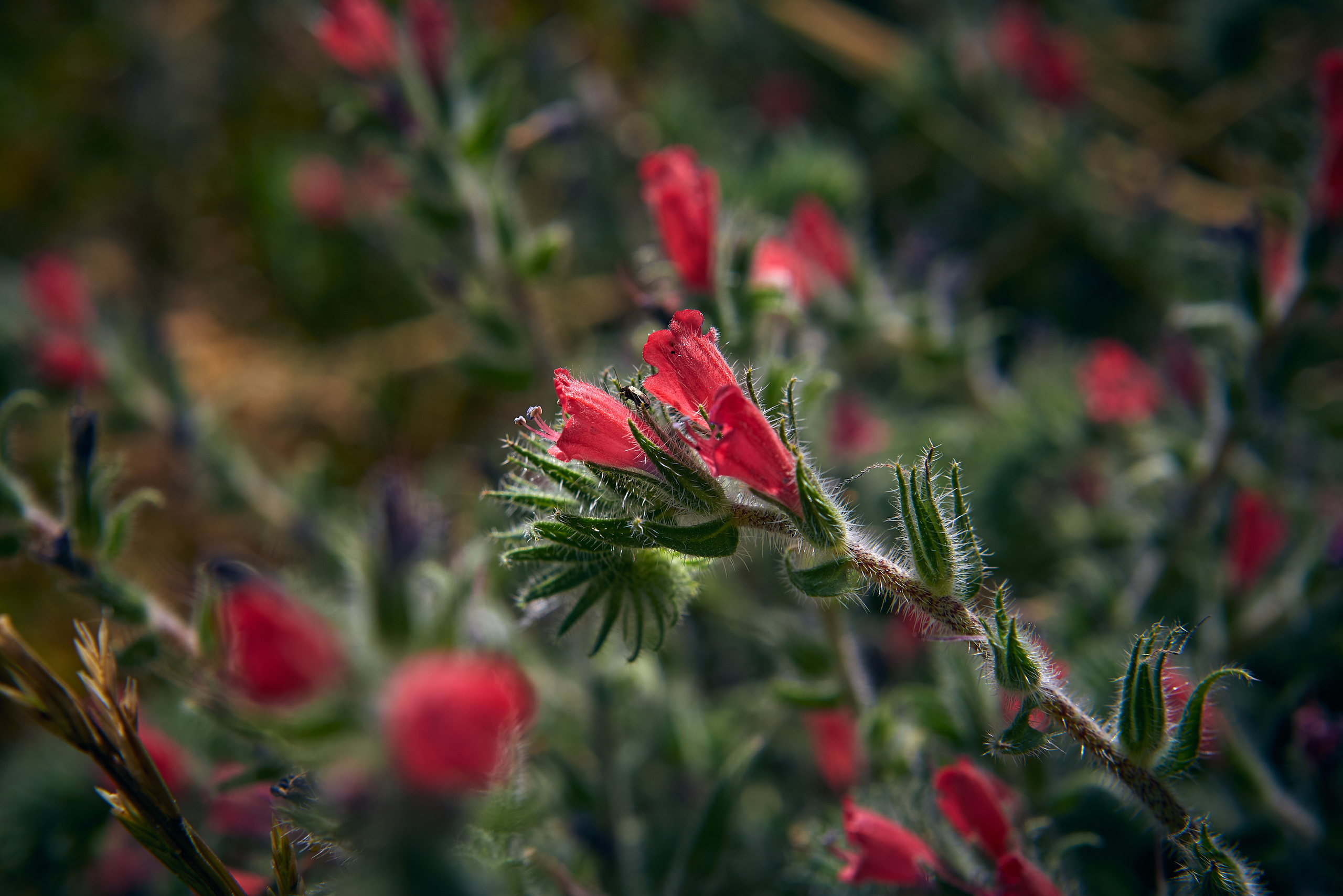 Cyprus / 2023. Aleksandr Kobtsev