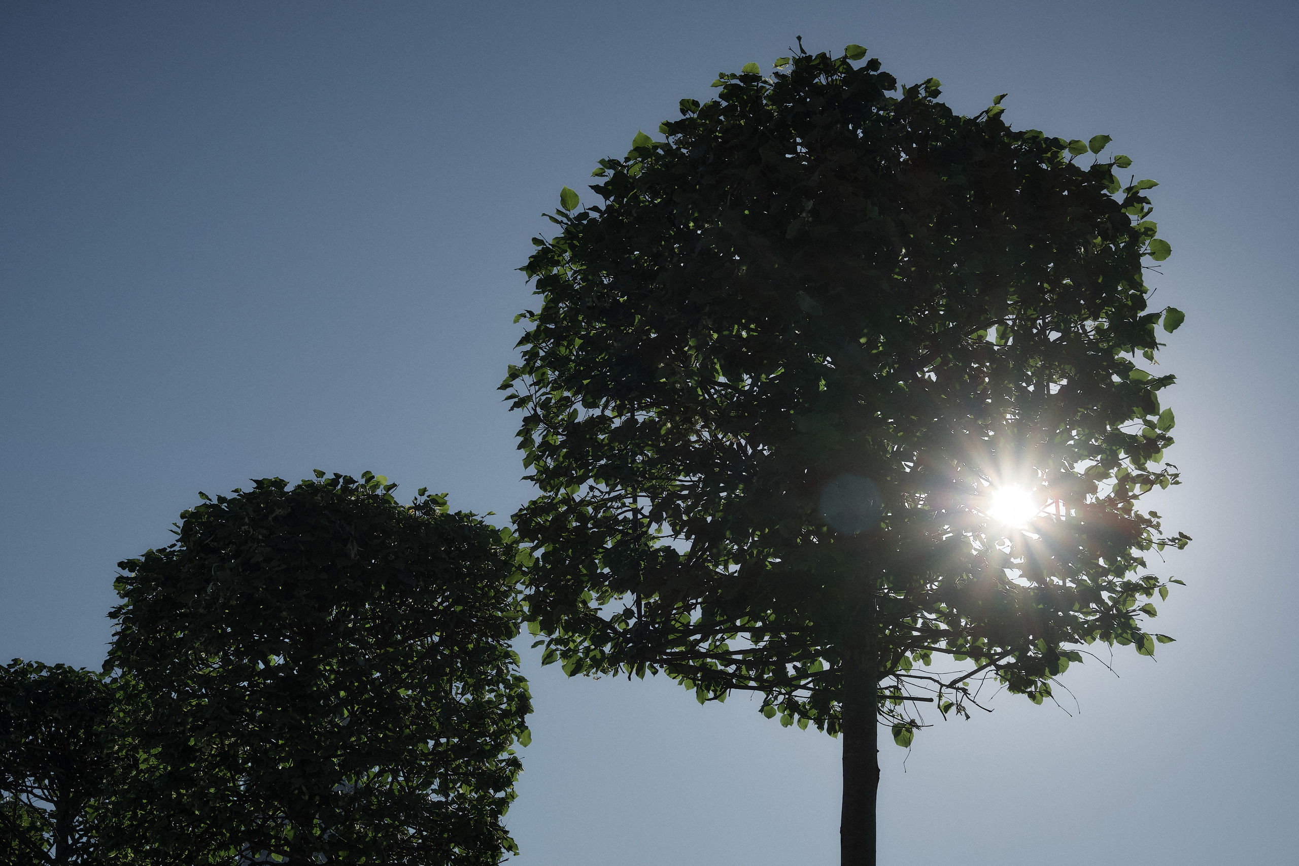 Early morning in the big city. Aleksandr Kobtsev