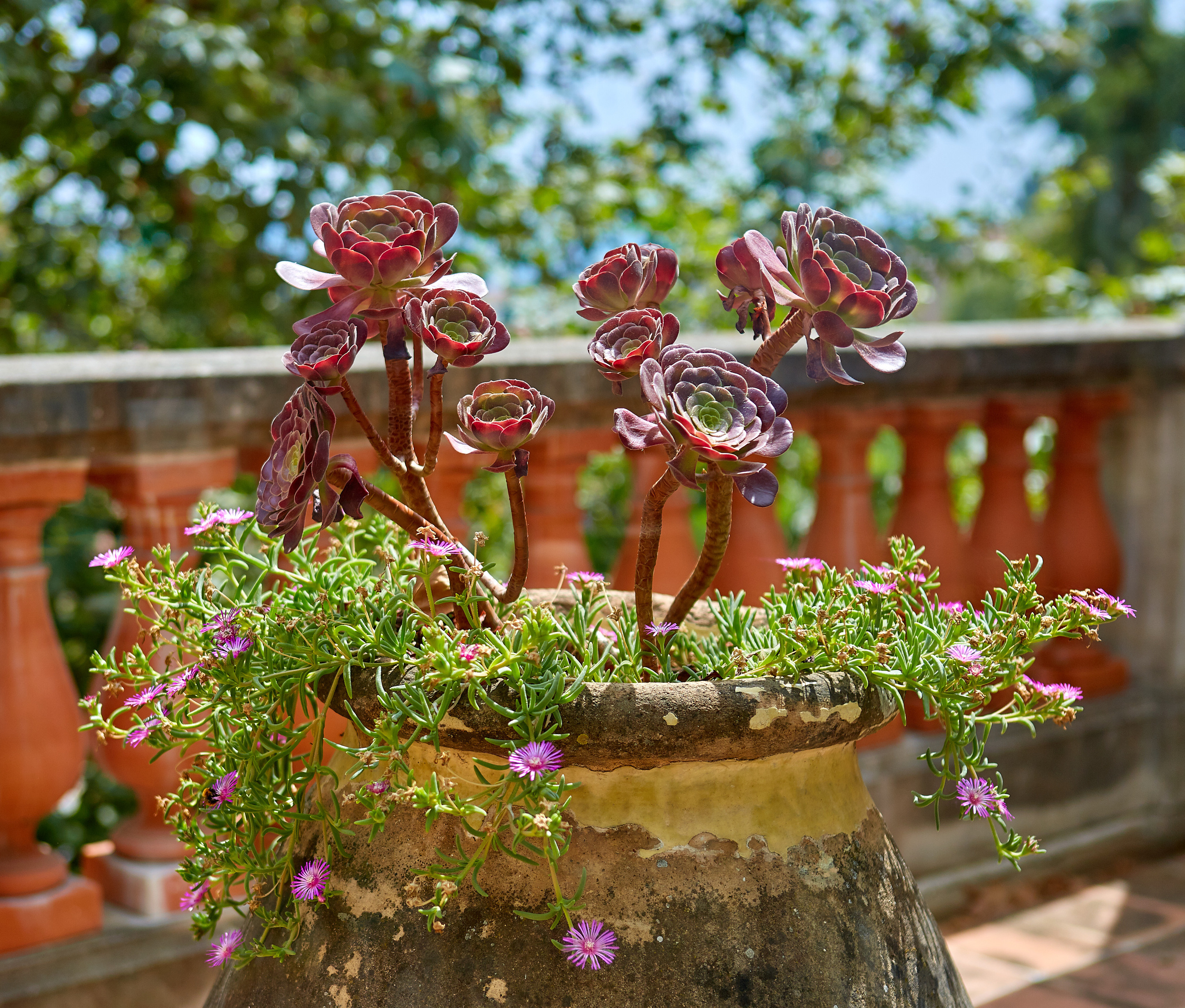 Grasse / France / august 2019. Aleksandr Kobtsev