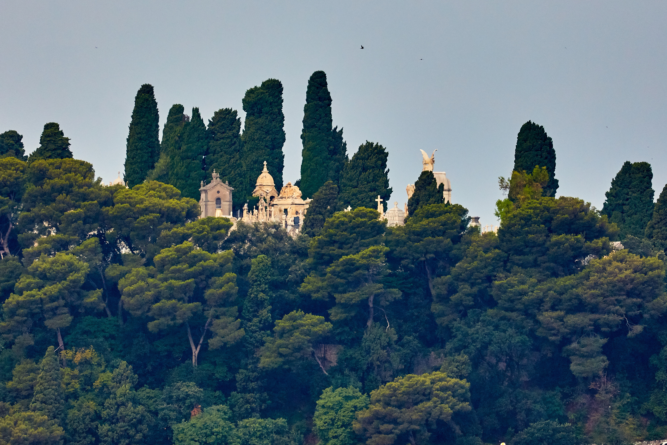 Nice / France / august 2019. Aleksandr Kobtsev
