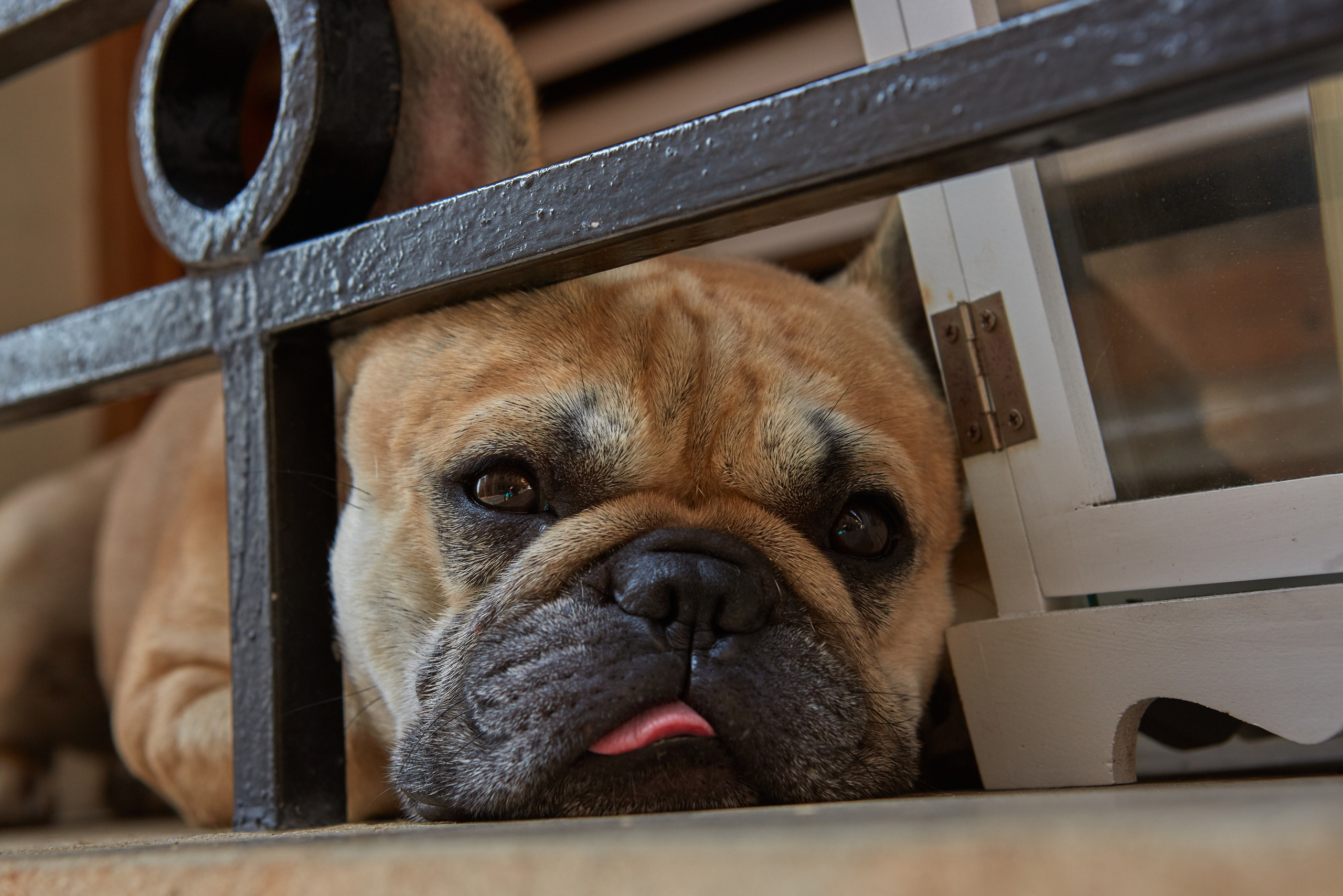 Monte-Carlo > > > Monaco / october 2019. Aleksandr Kobtsev