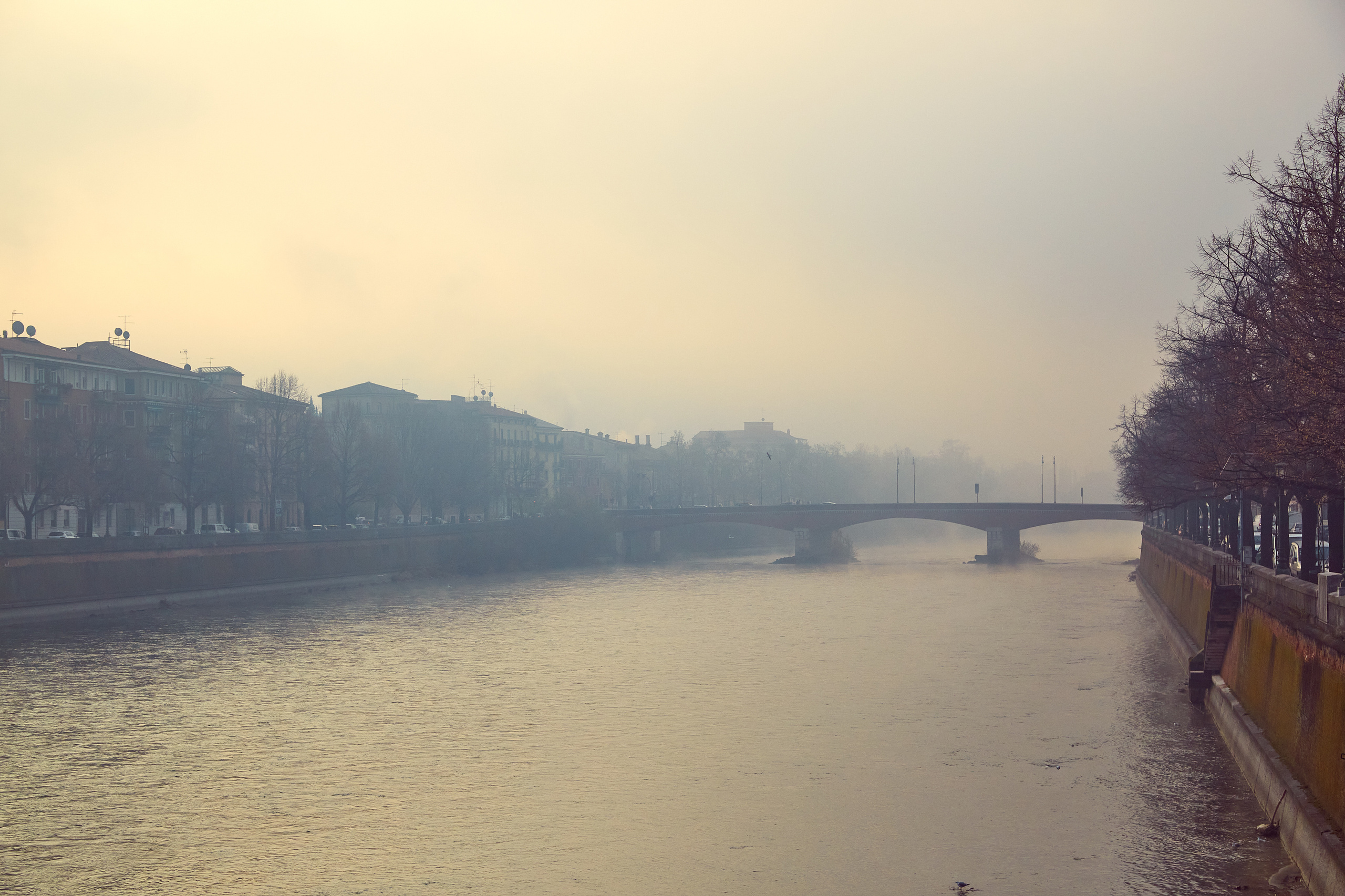 Verona / Italy / january 2020. Aleksandr Kobtsev