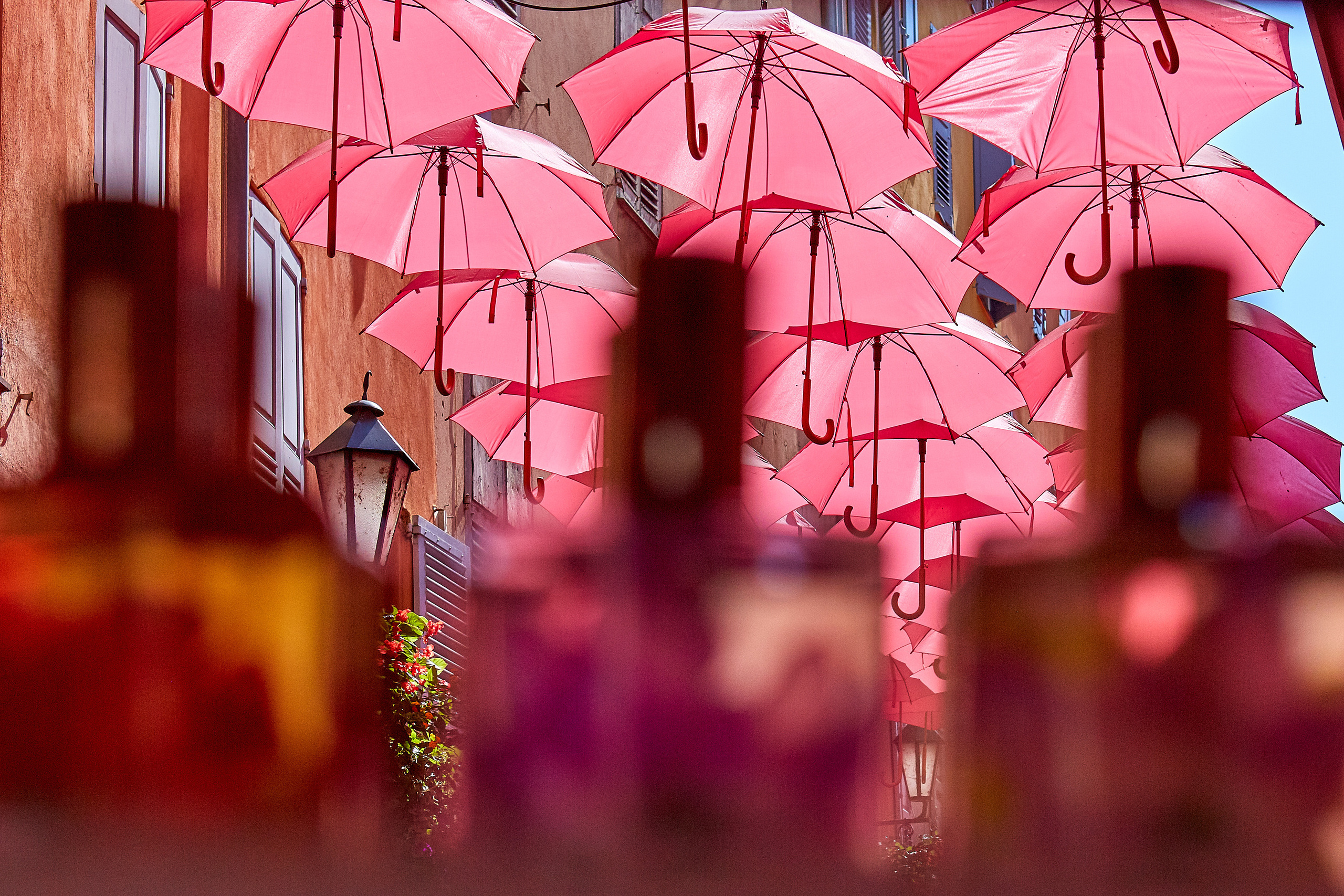 Grasse / France / august 2019. Aleksandr Kobtsev