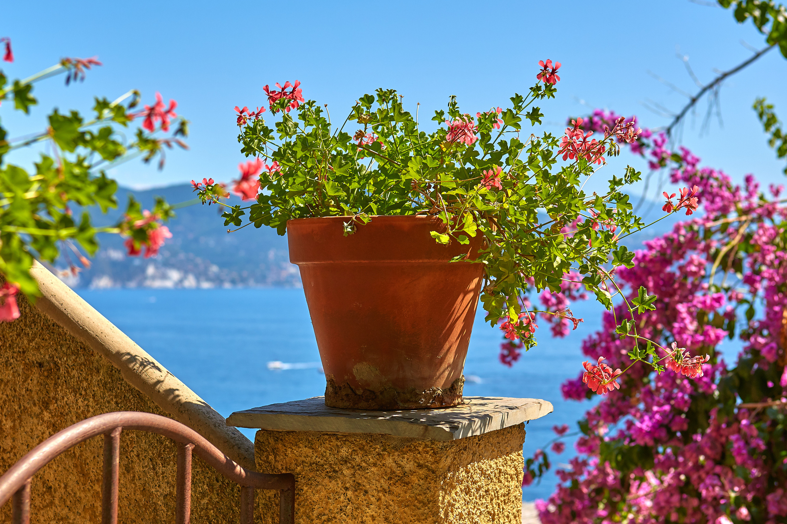 Genova > > > Portofino / Italy / august 2019. Aleksandr Kobtsev