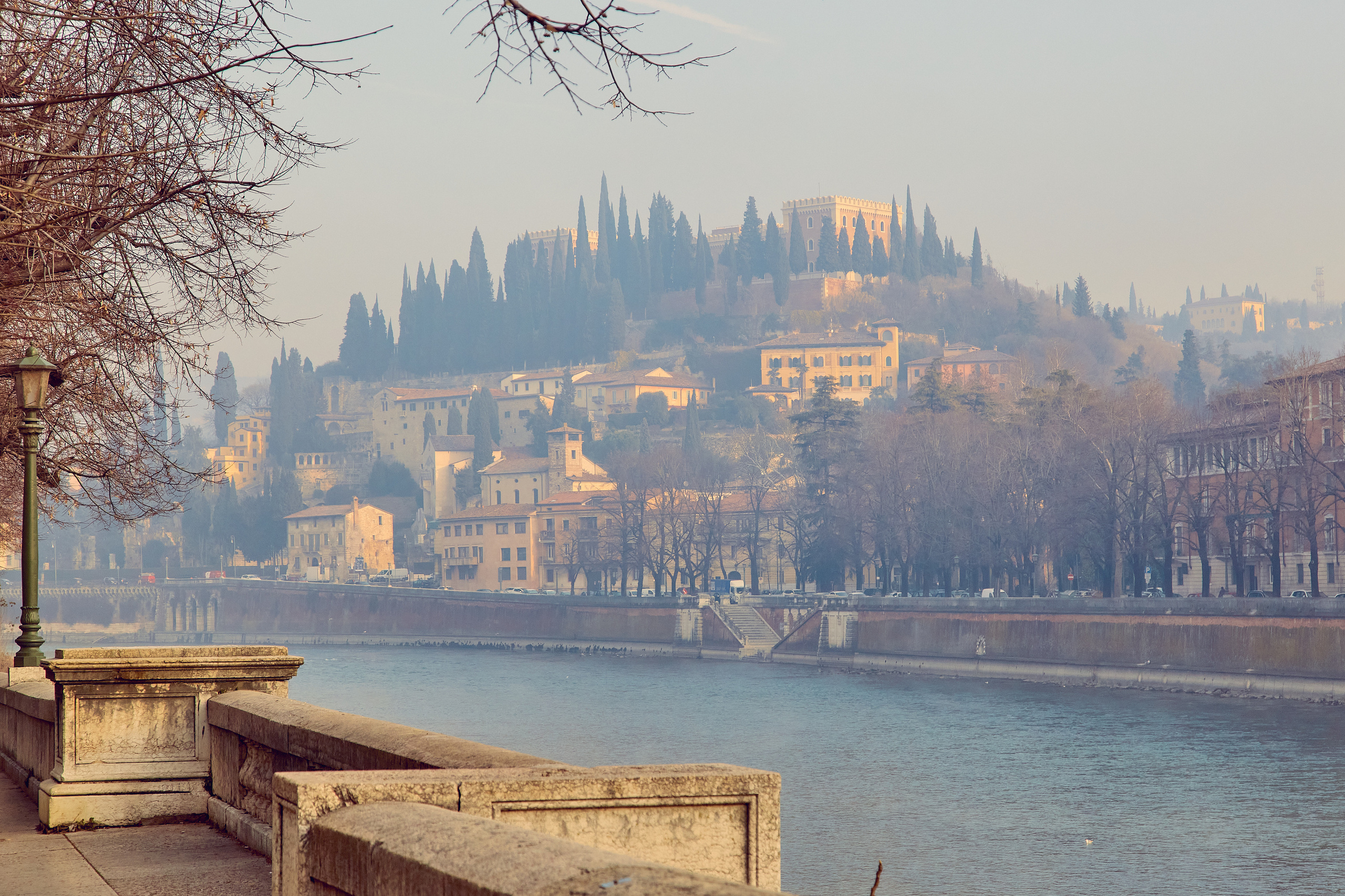 Verona / Italy / january 2020. Aleksandr Kobtsev