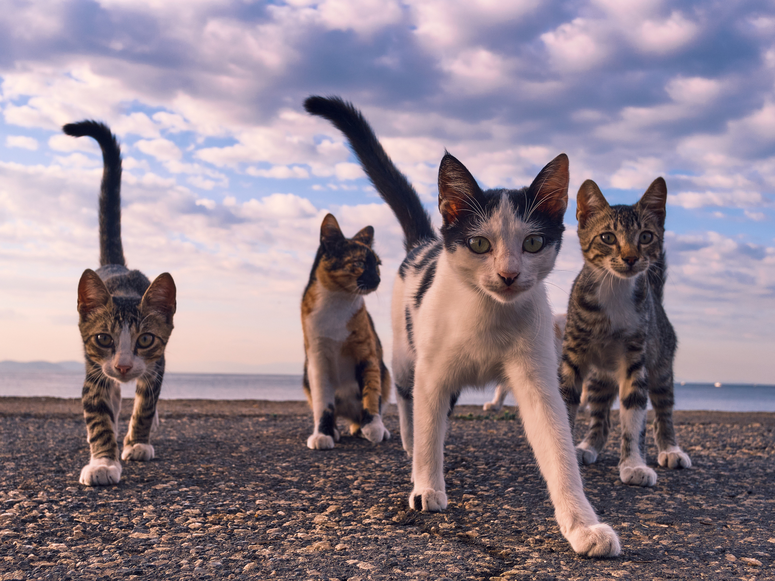 Mediterranean sea. Aleksandr Kobtsev