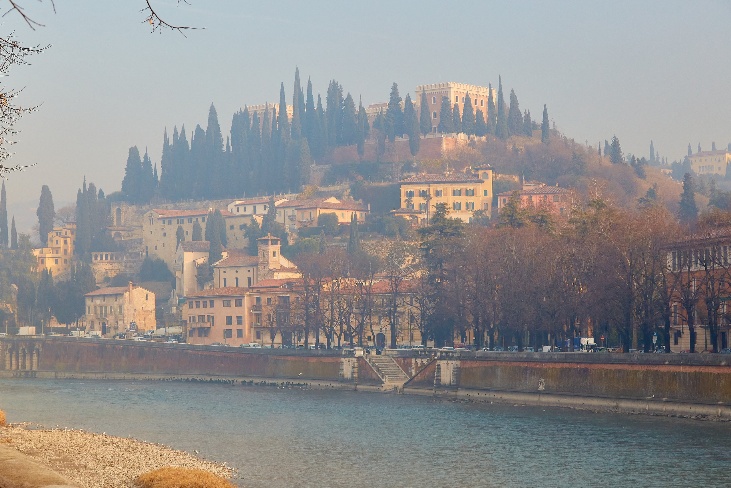 Verona / Italy / january 2020. Aleksandr Kobtsev