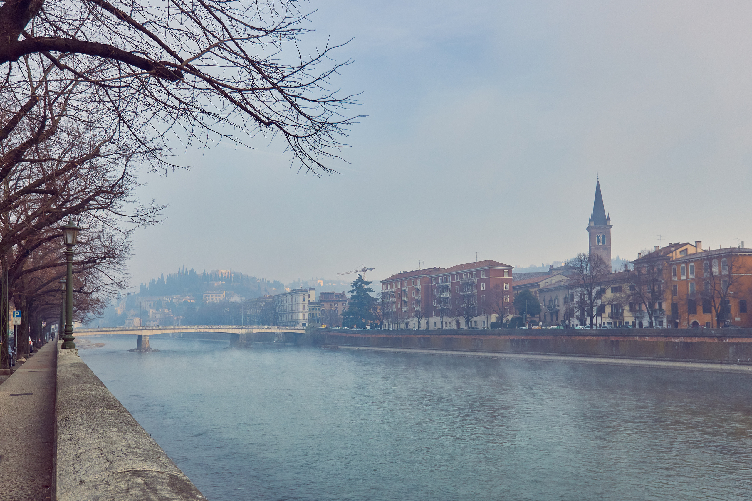 Verona / Italy / january 2020. Aleksandr Kobtsev