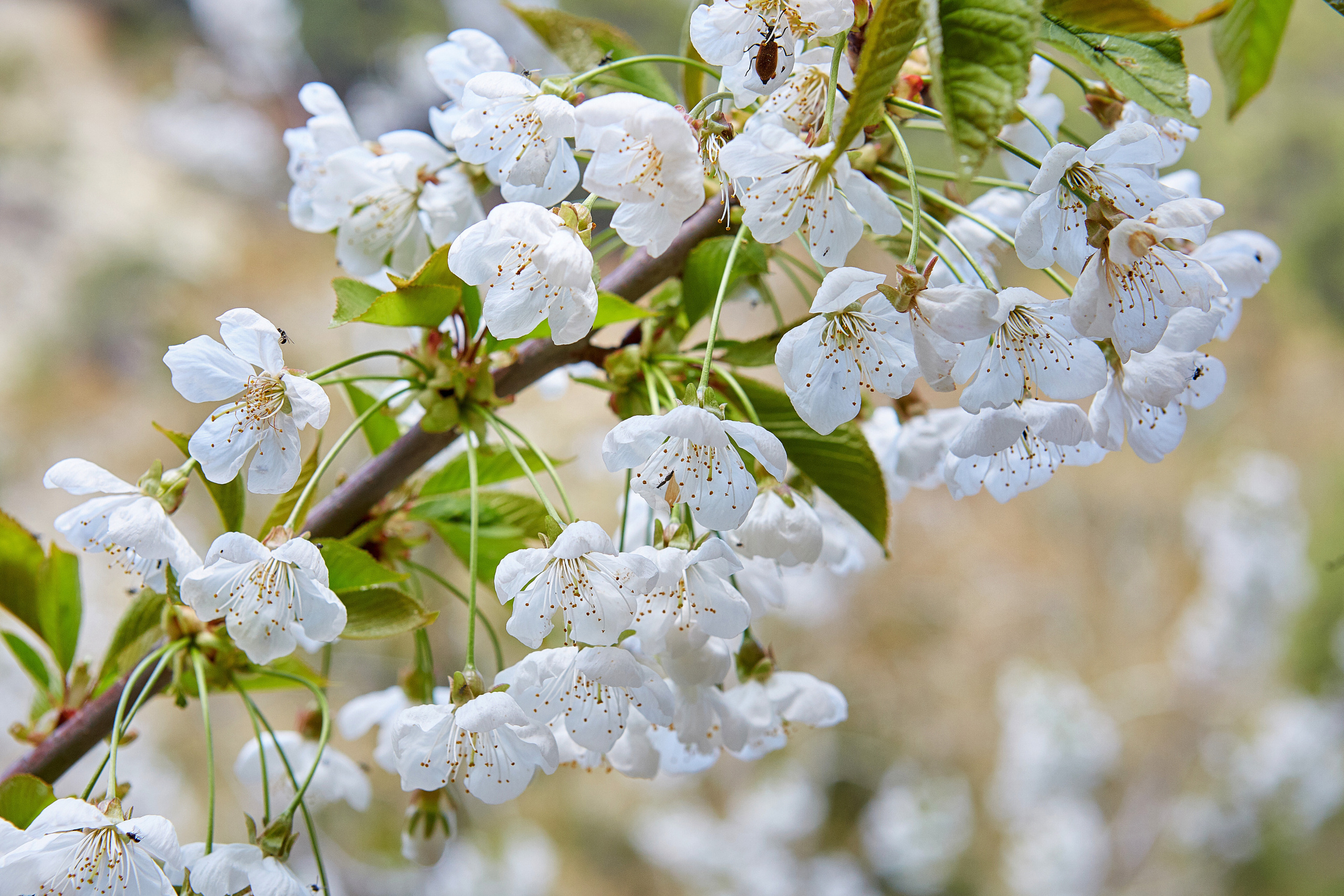 Cyprus / 2023. Aleksandr Kobtsev