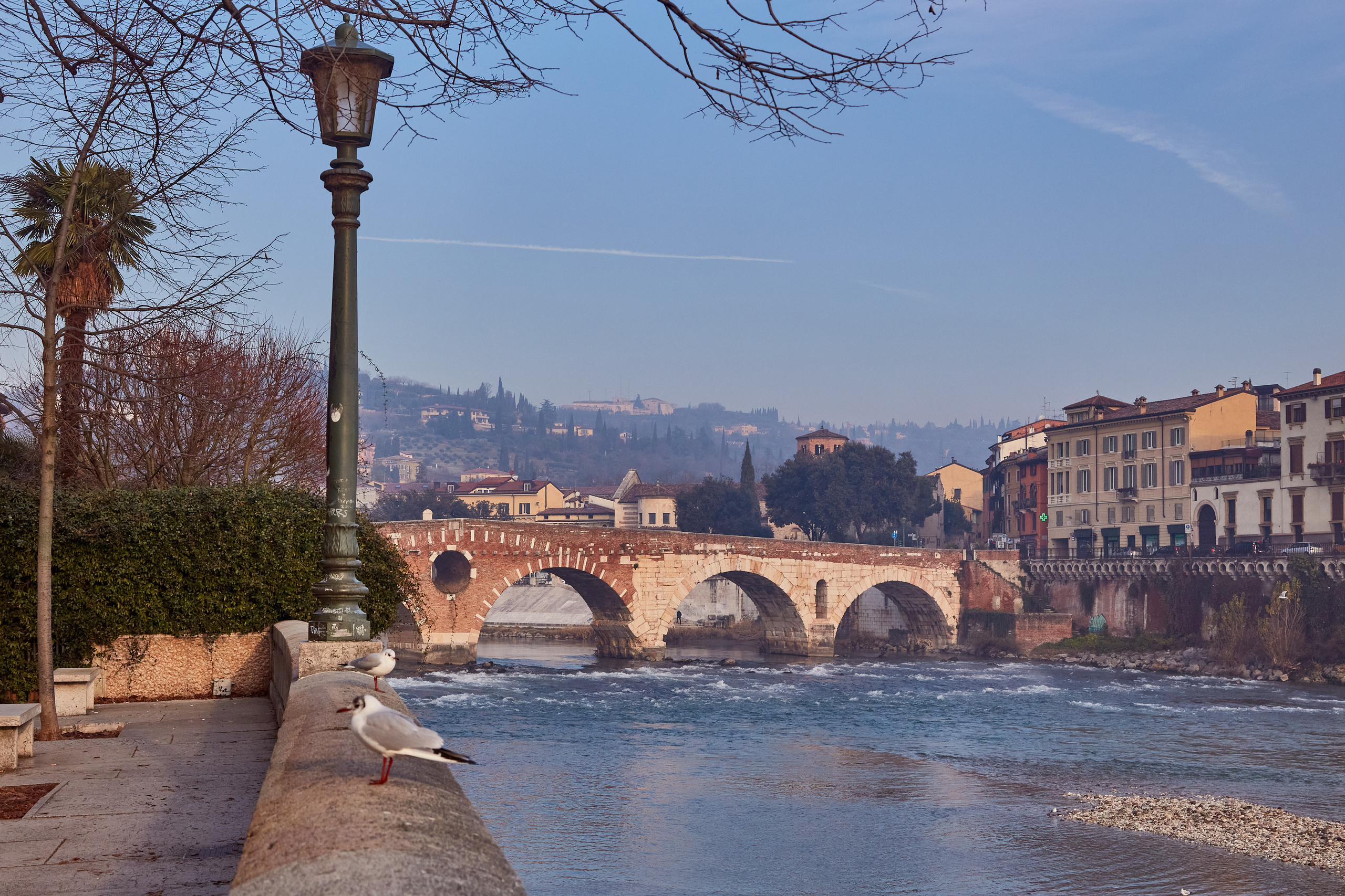 Verona / Italy / january 2020. Aleksandr Kobtsev