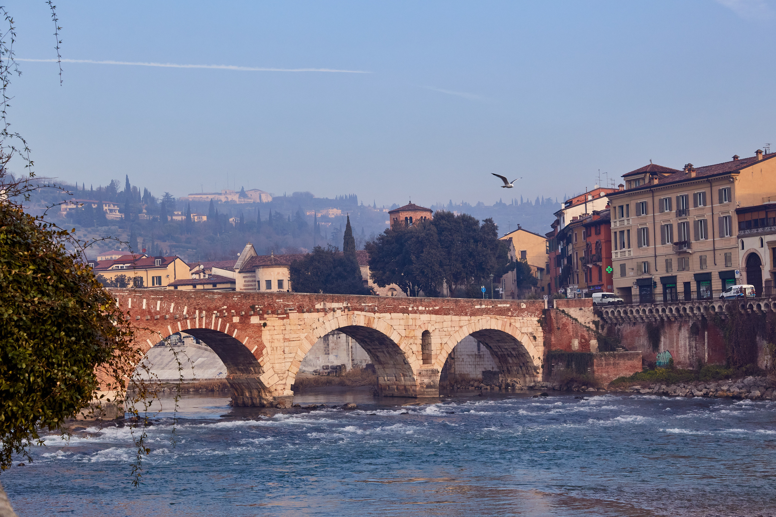 Verona / Italy / january 2020. Aleksandr Kobtsev