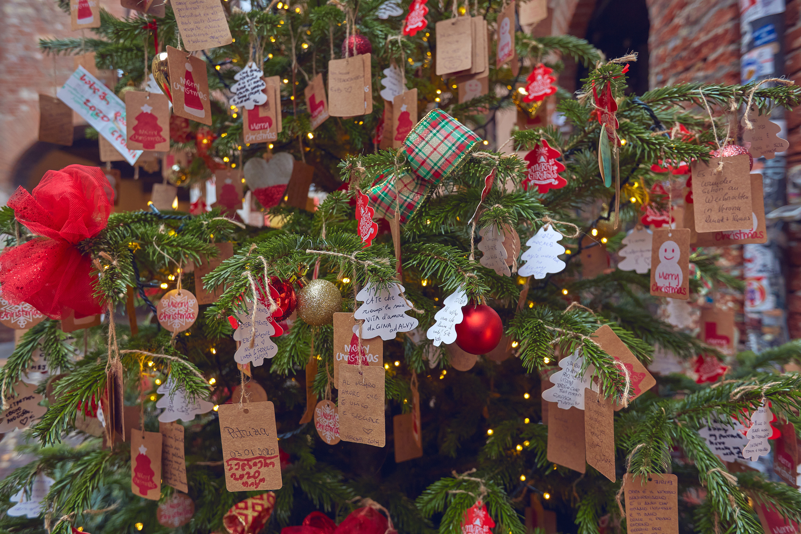 Verona / Italy / january 2020. Aleksandr Kobtsev