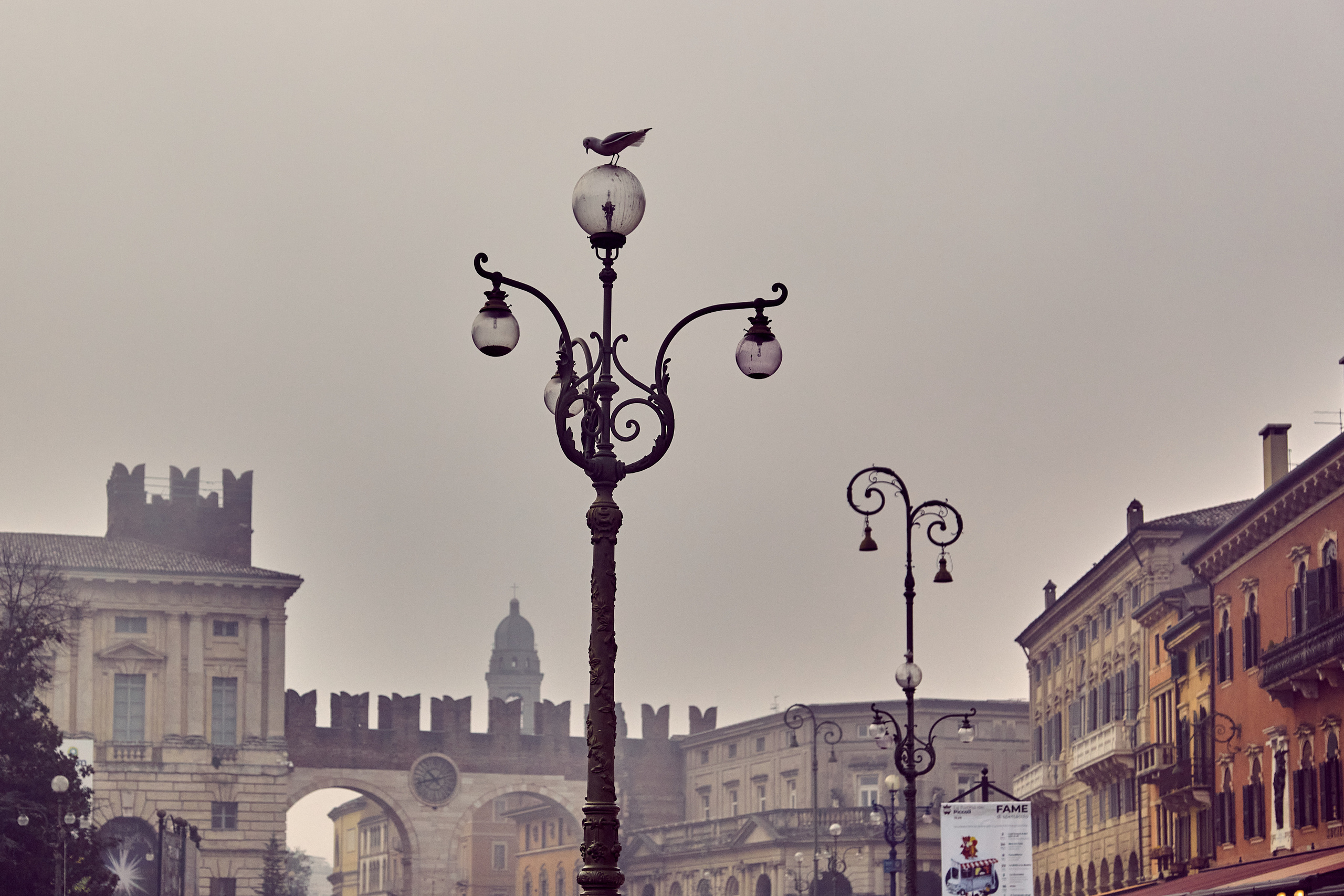 Verona / Italy / january 2020. Aleksandr Kobtsev