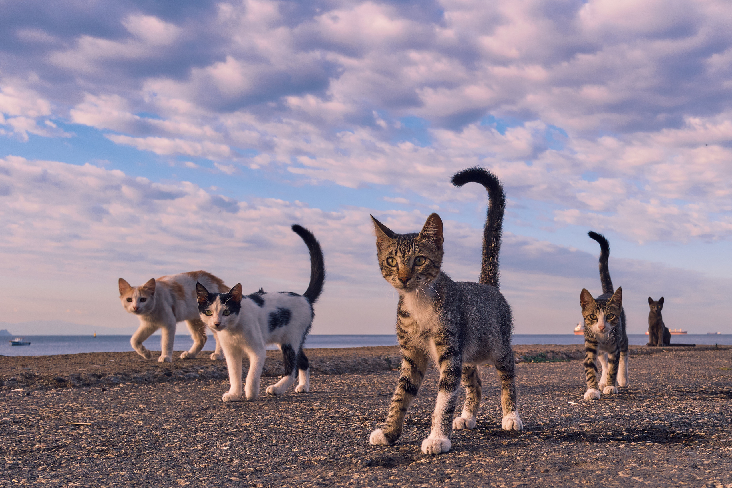 Mediterranean sea. Aleksandr Kobtsev