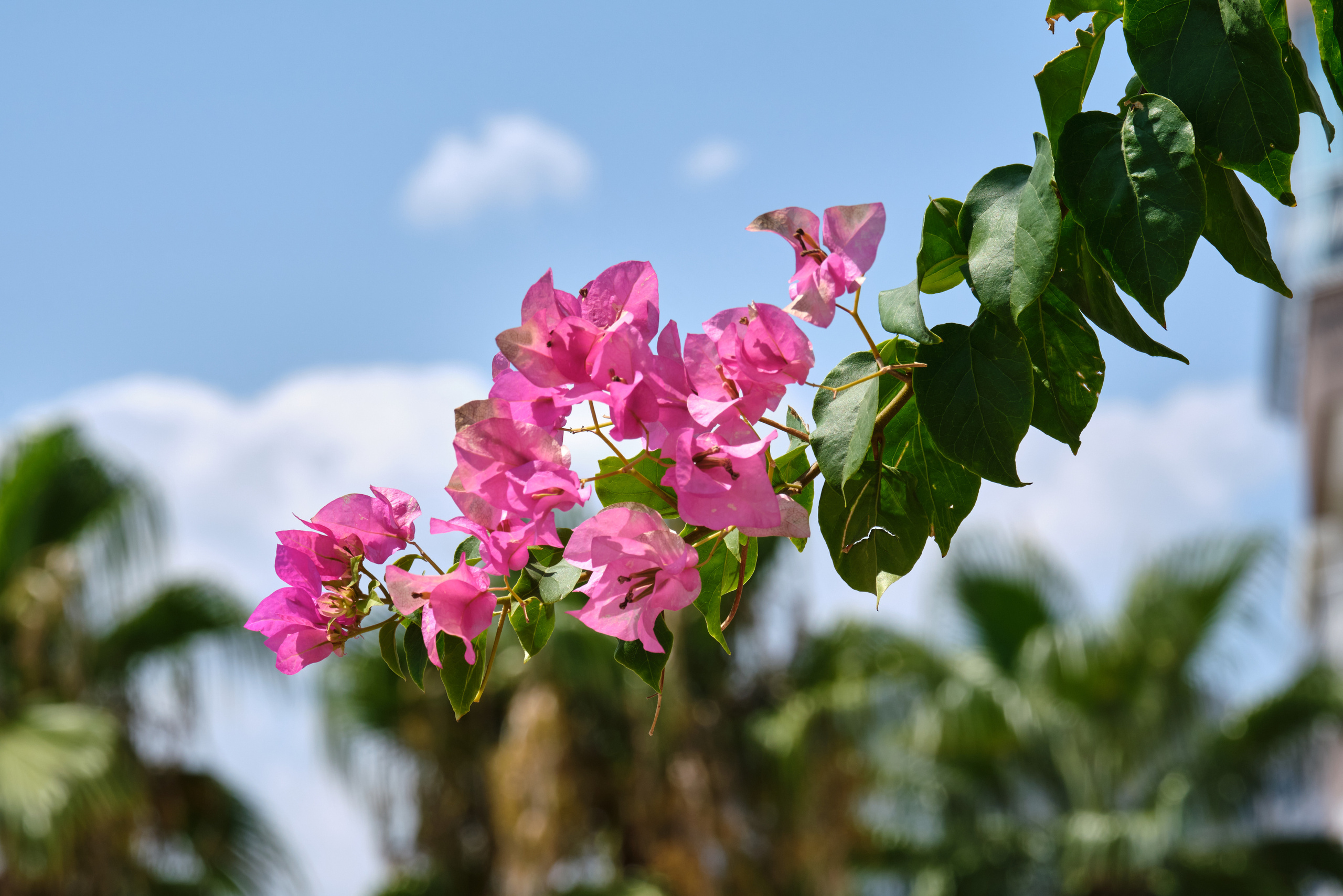 Mediterranean sea. Aleksandr Kobtsev