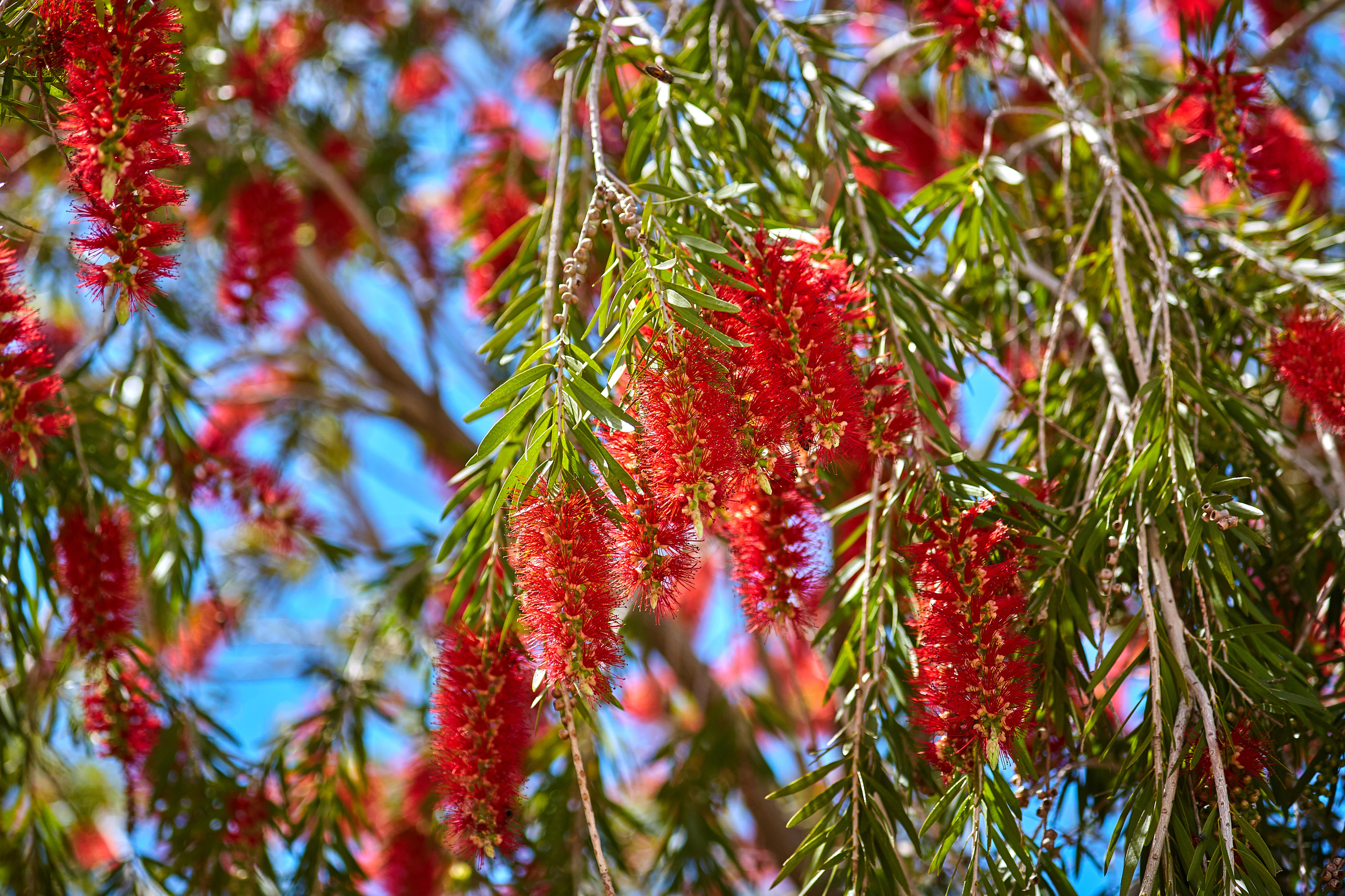 Cyprus / 2023. Aleksandr Kobtsev