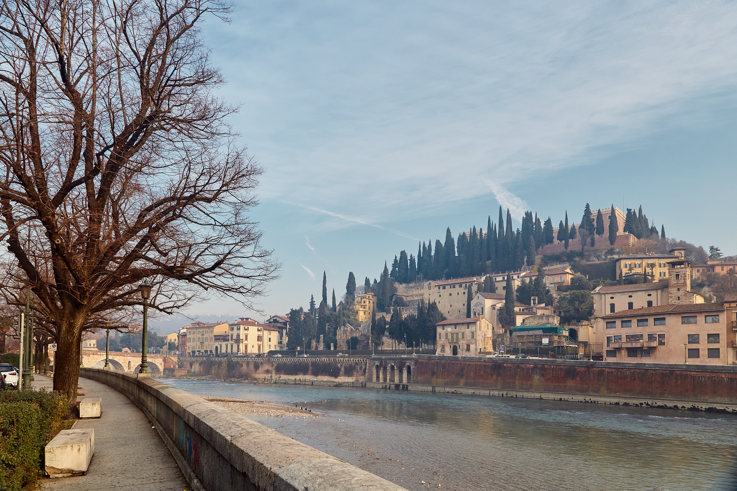 Verona / Italy / january 2020. Aleksandr Kobtsev