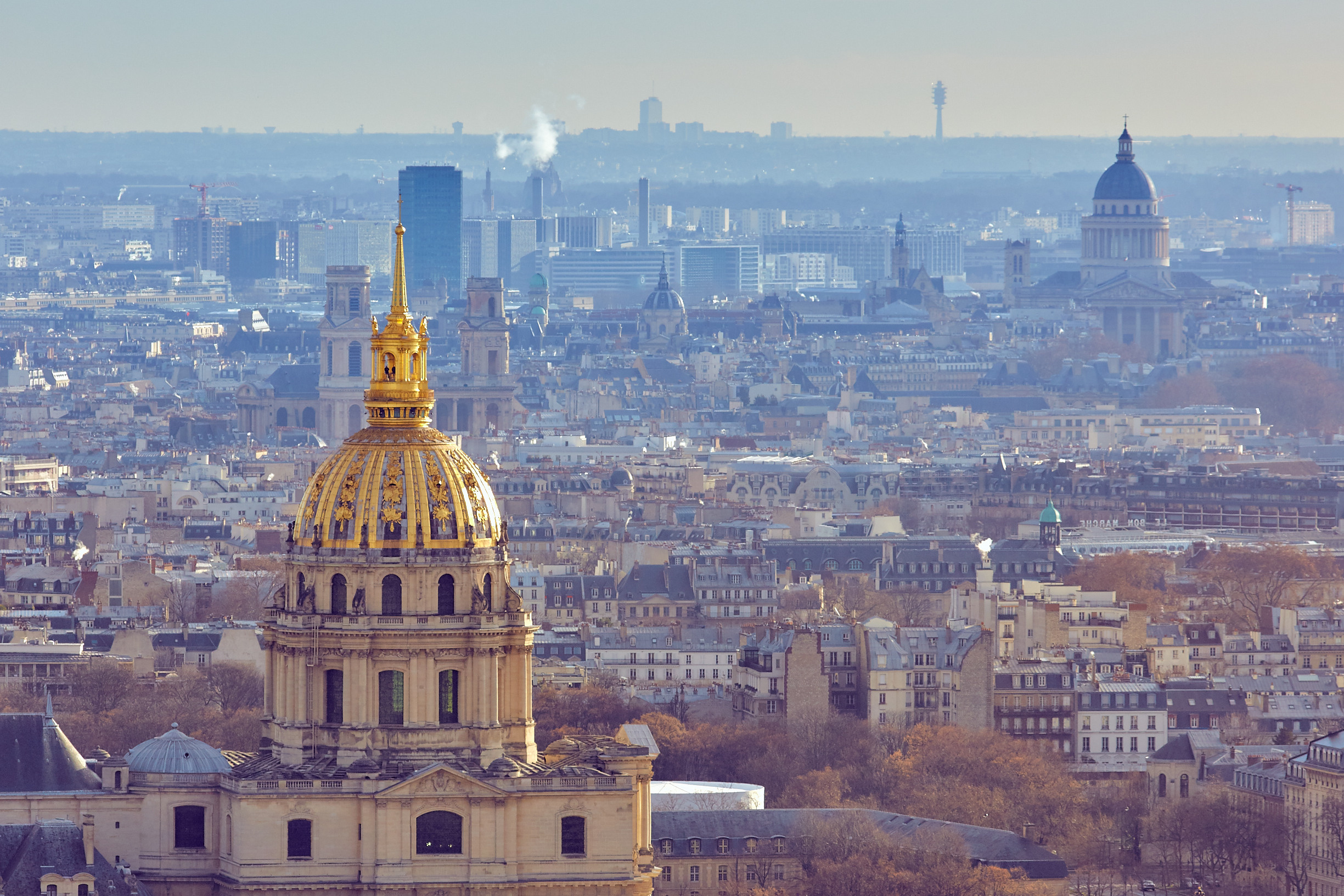 Paris / France / january 2017. Aleksandr Kobtsev