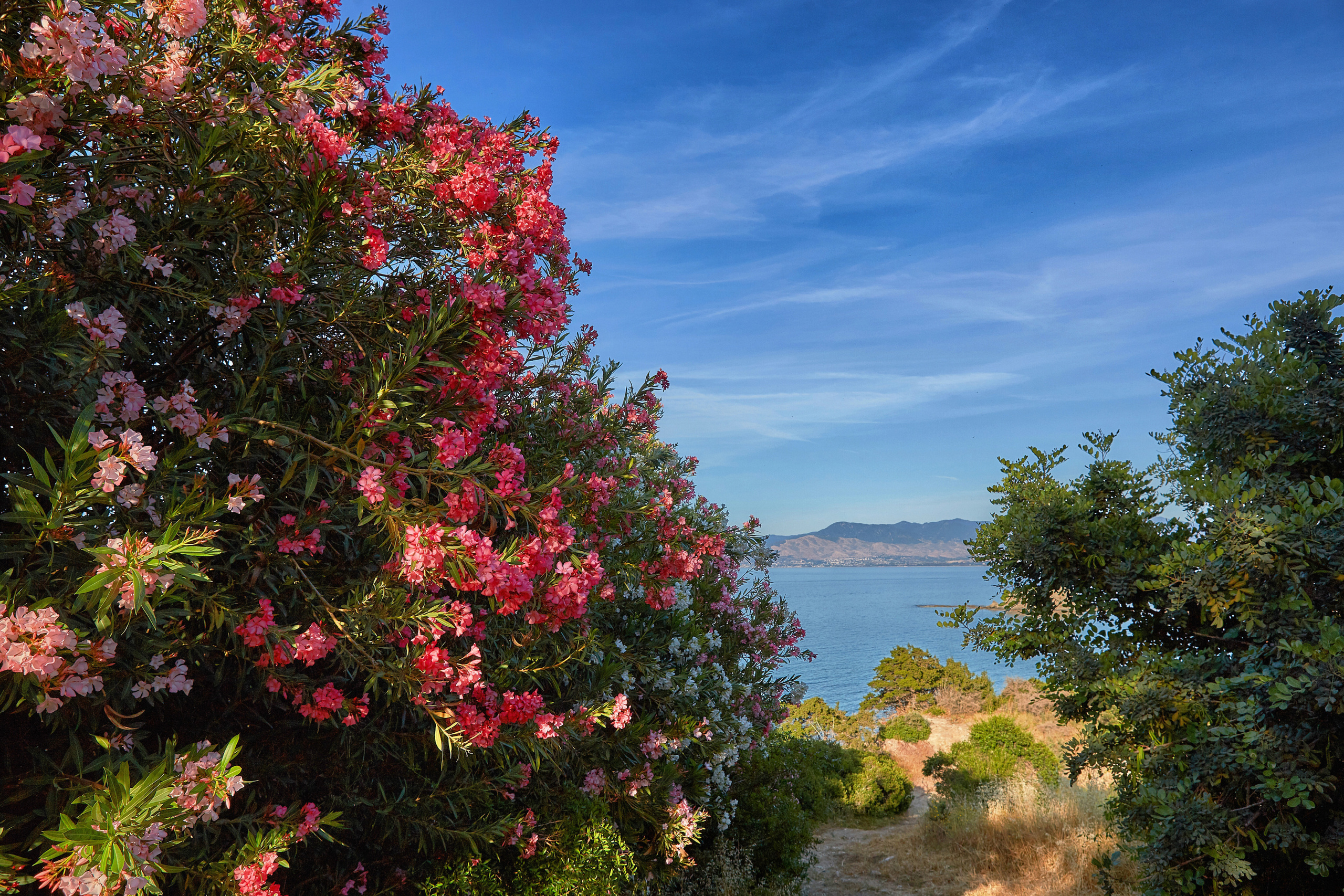 Cyprus / 2023. Aleksandr Kobtsev