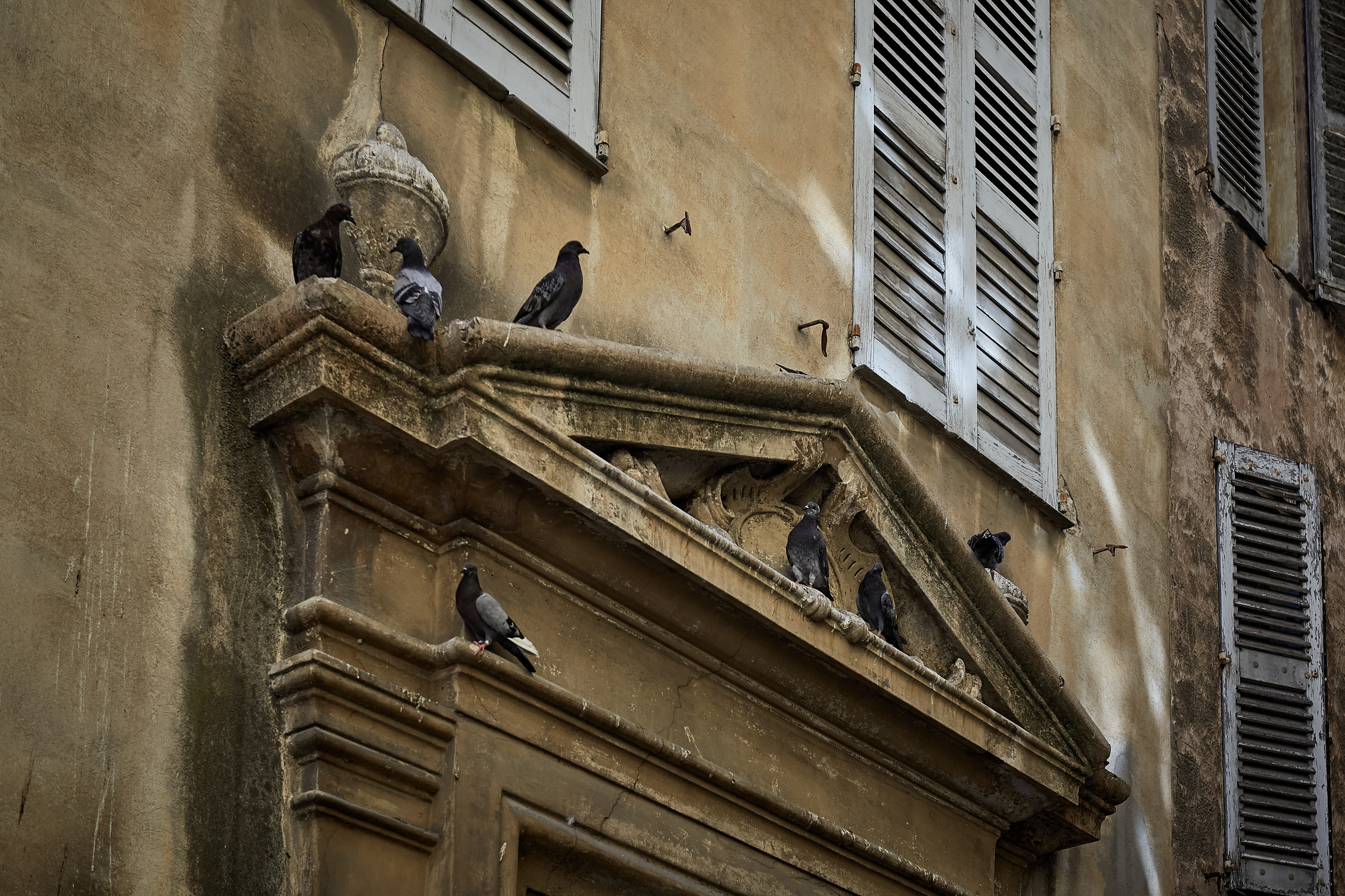 Grasse / France / august 2019. Aleksandr Kobtsev