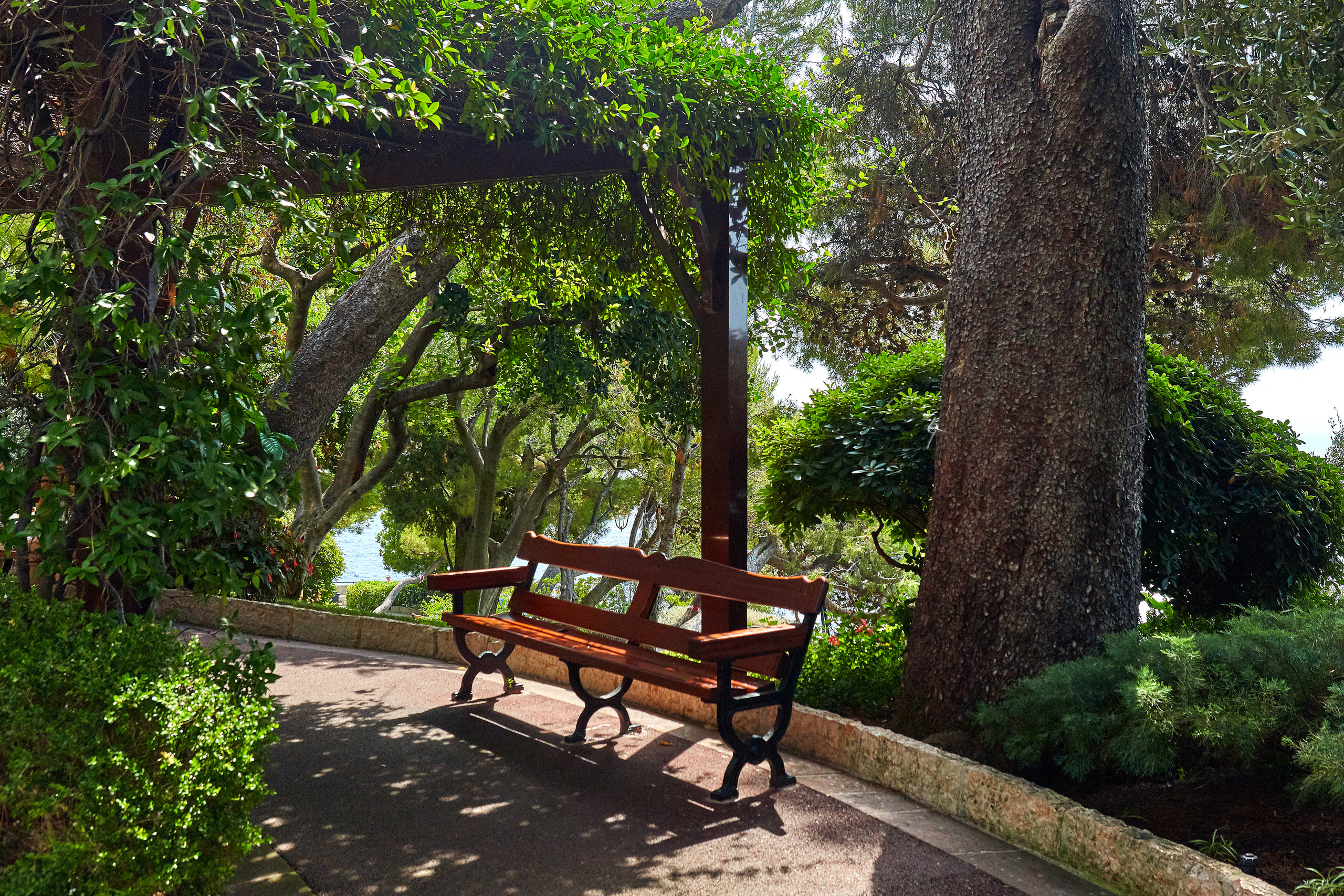 Monte-Carlo > > > Monaco / october 2019. Aleksandr Kobtsev