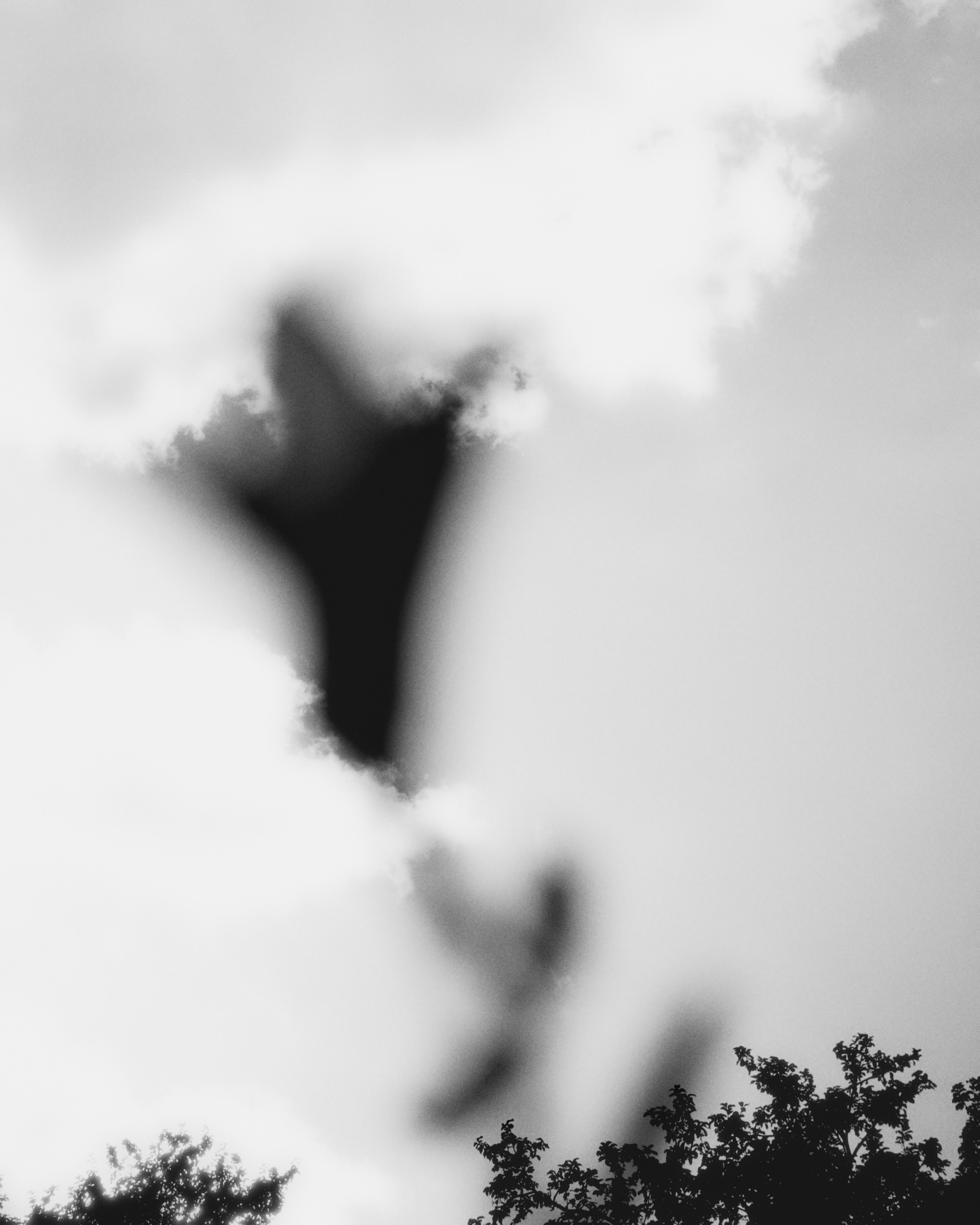 Портретная фотосессия в азиатском стиле