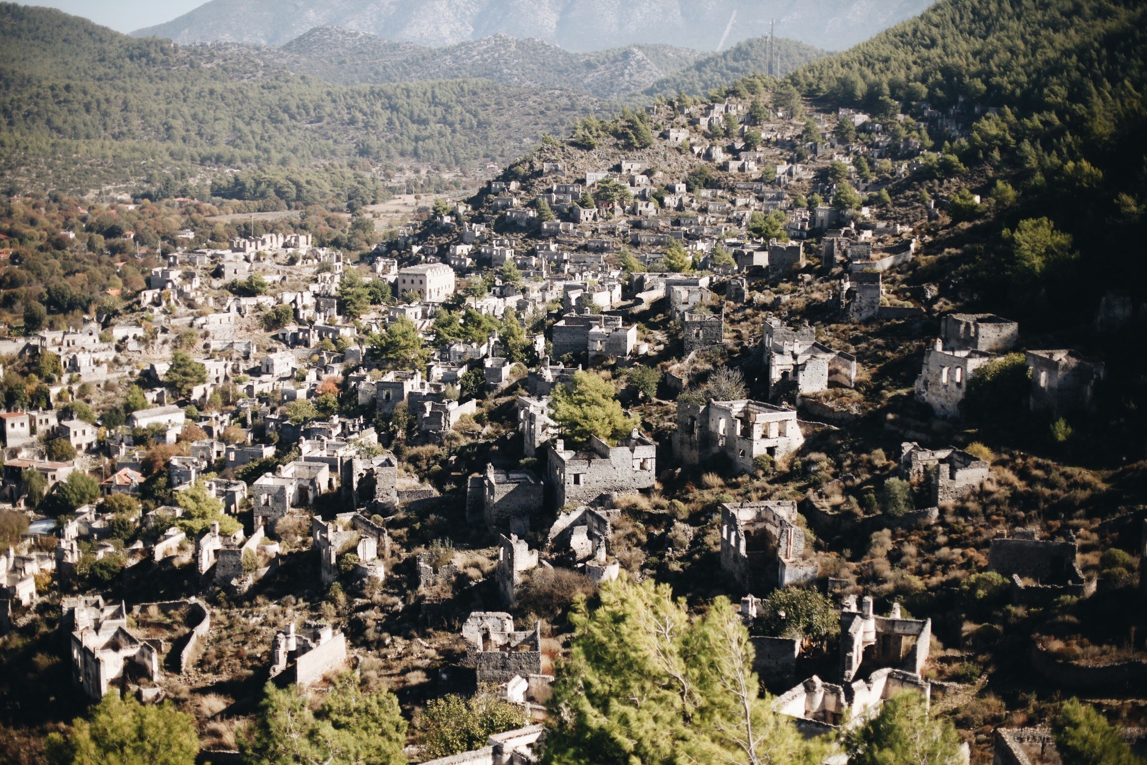 Волна. Ксения Плотникова