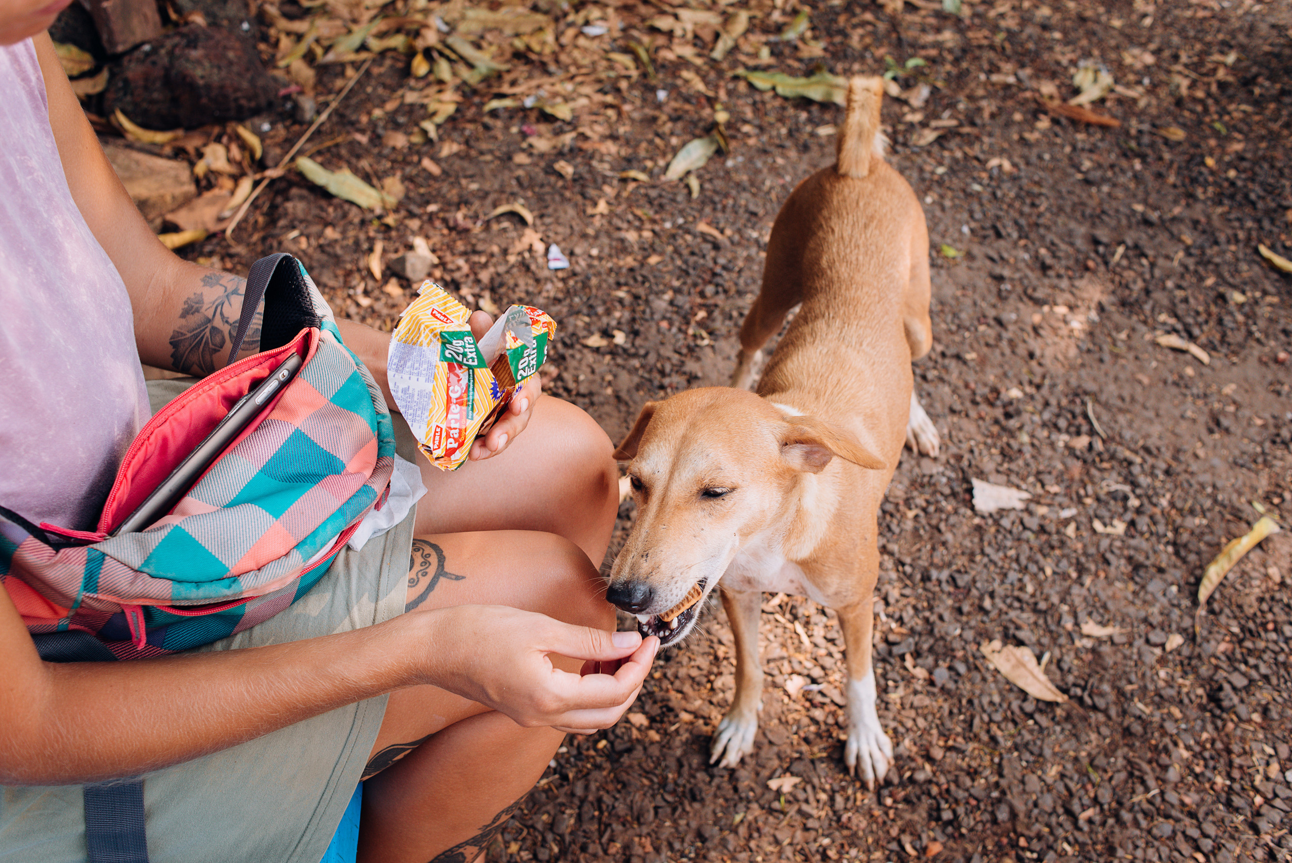 Лавстори заграницей. Семейный и свадебный фотограф в Нижнем Тагиле, Екатеринбурге Пряничник