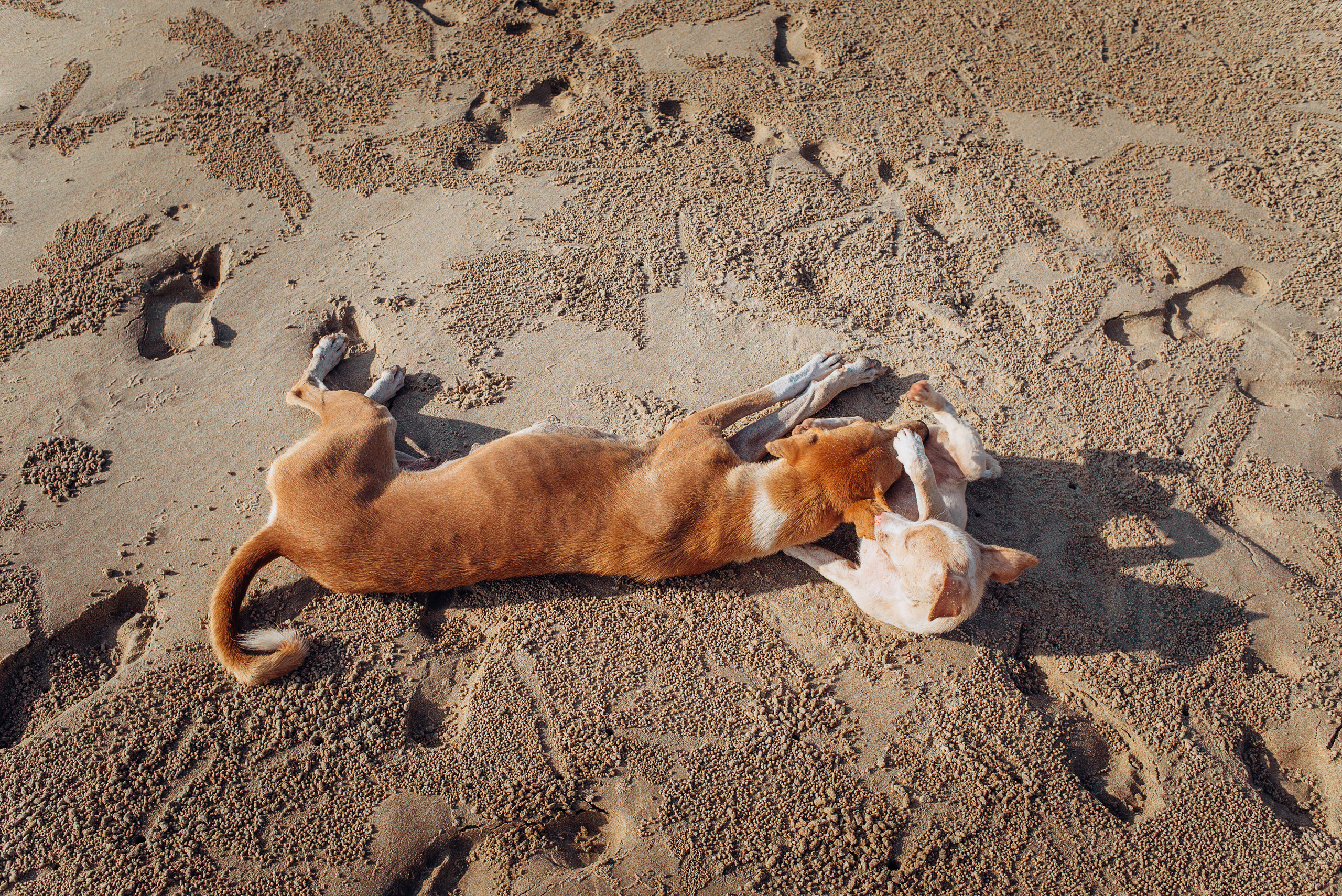 Лавстори заграницей. Семейный и свадебный фотограф в Нижнем Тагиле, Екатеринбурге Пряничник